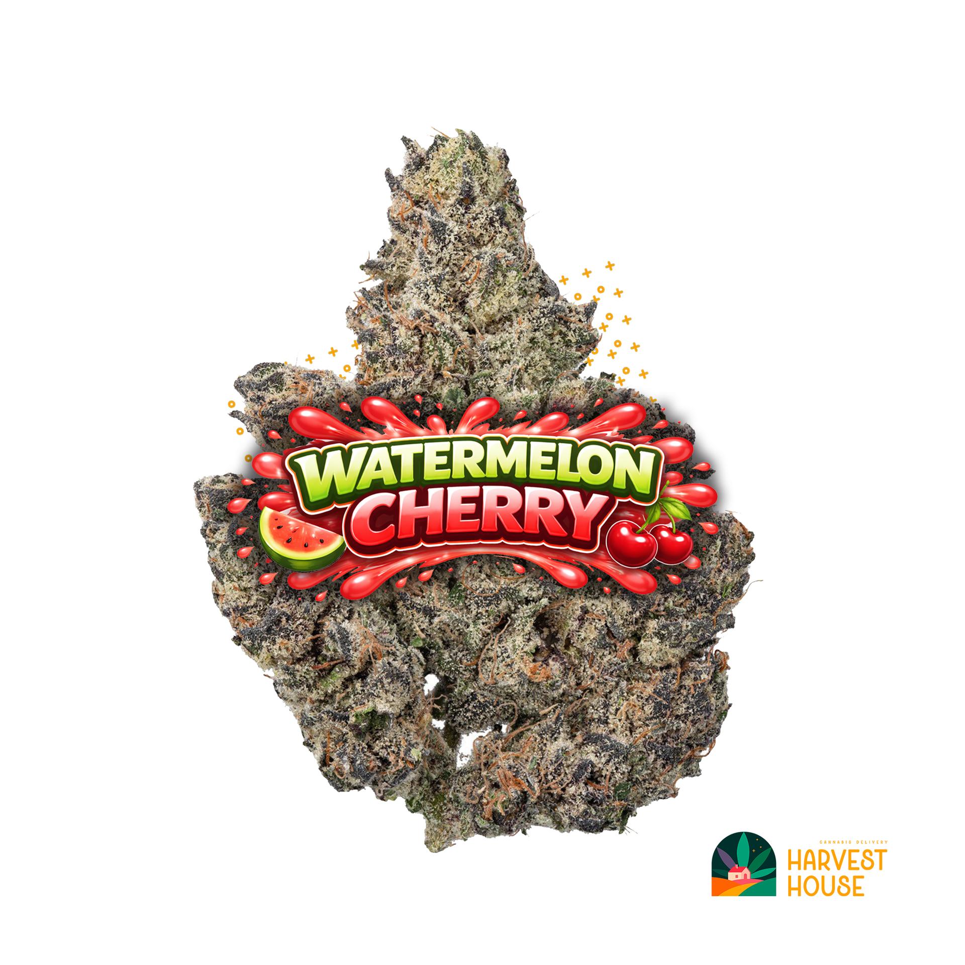 Watermelon Cherry - Hybrid - 33.8% THC by Animal