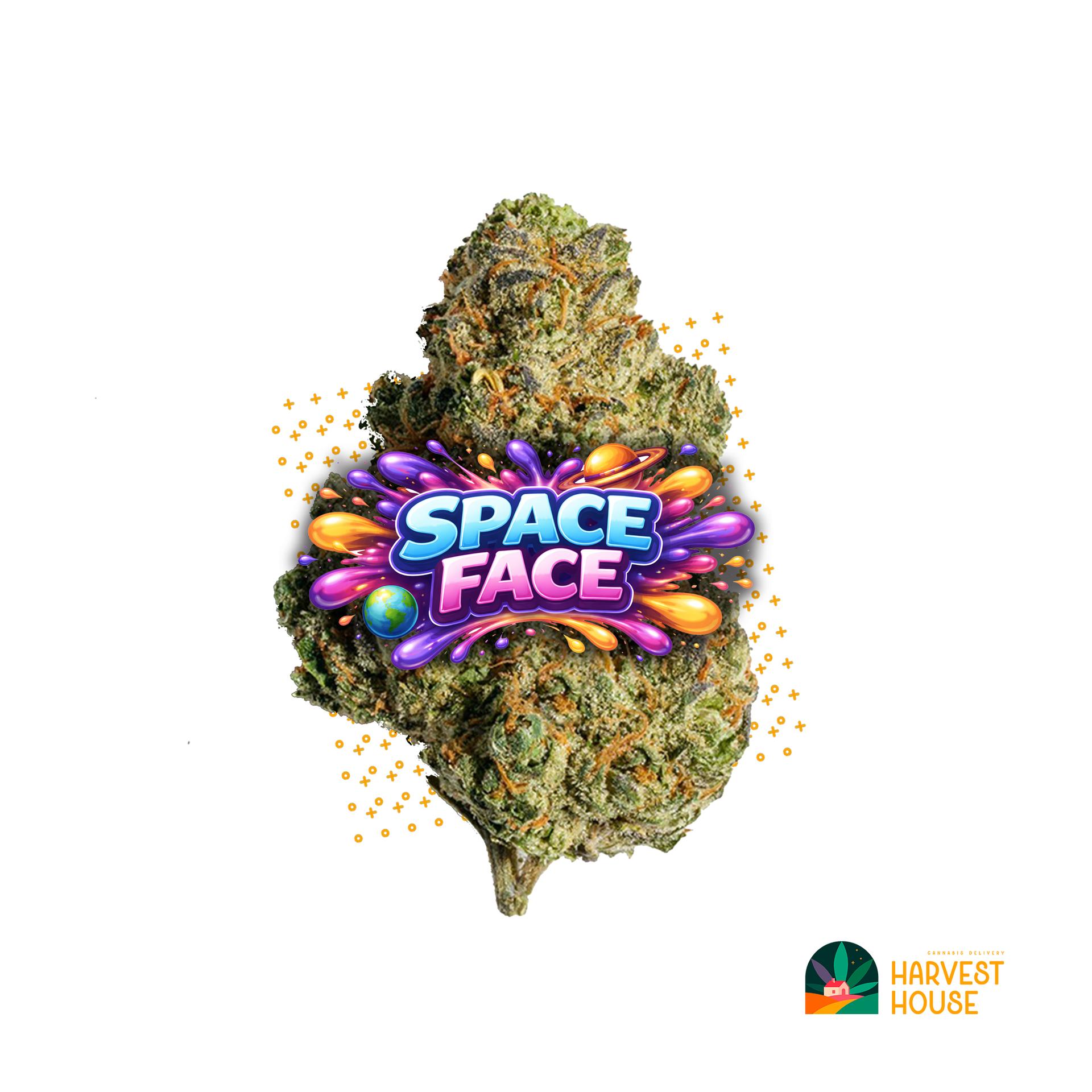 Space Face - Indica - 32.98% THC by Animal