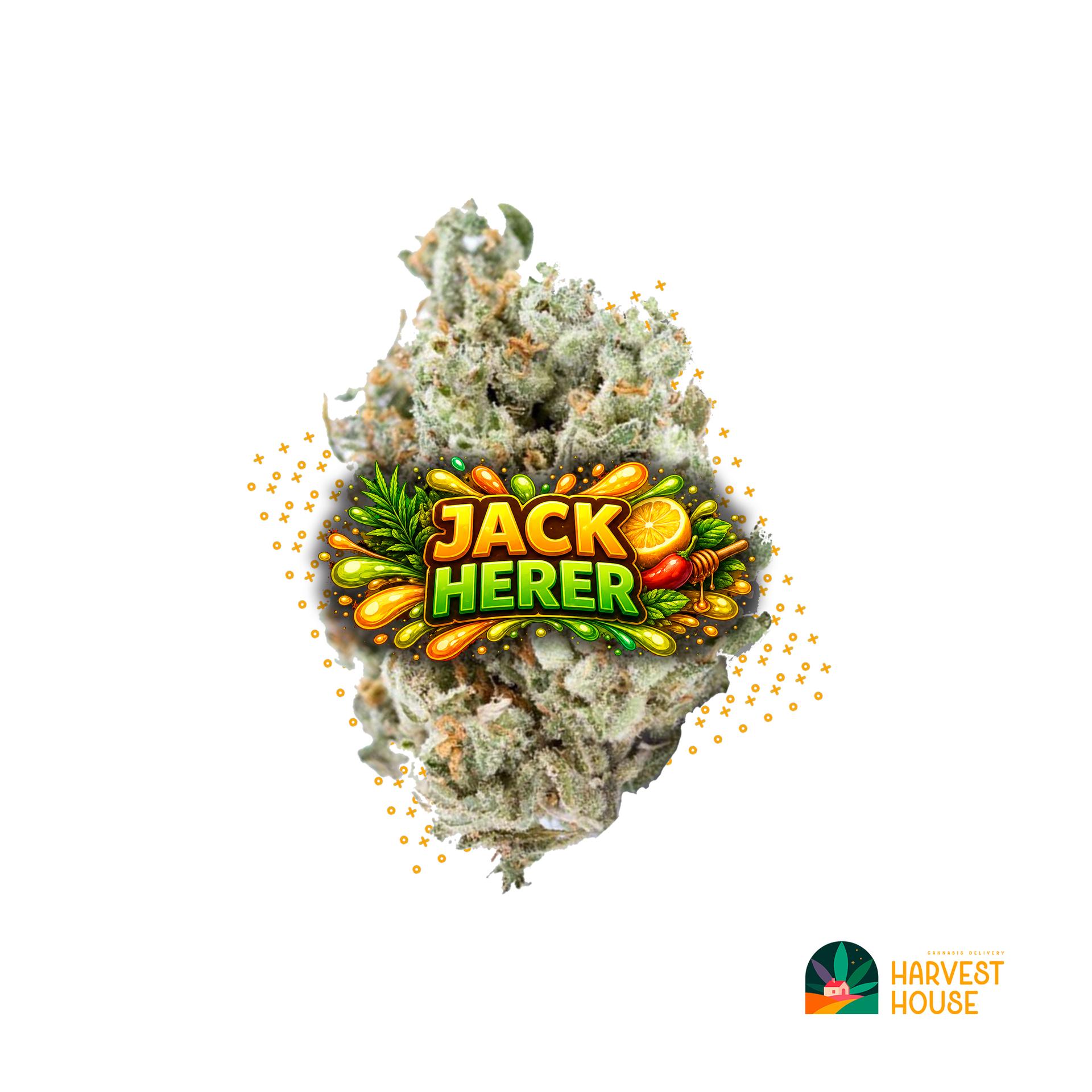 Jack Herer - Sativa - 32.96% THC by Animal