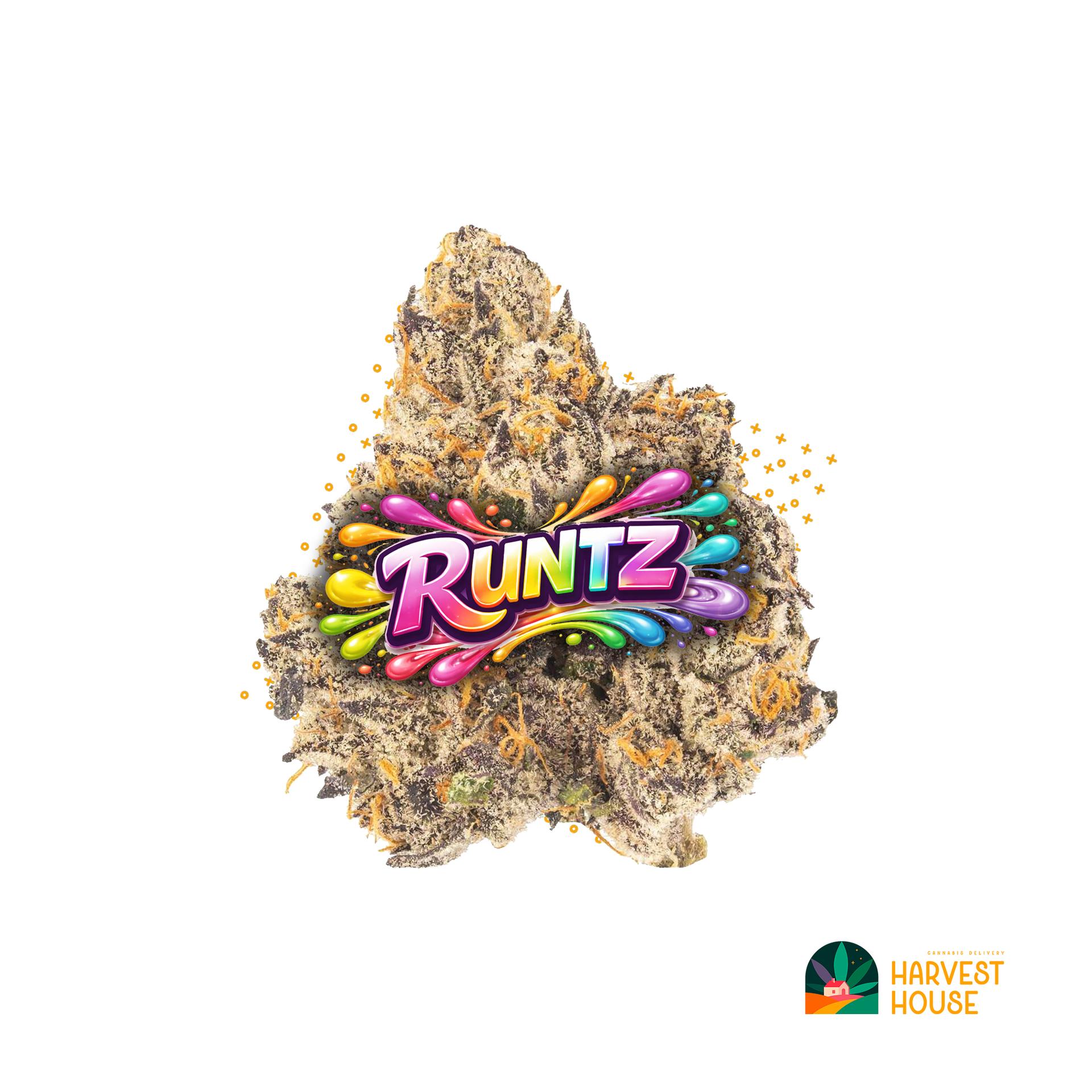 Runtz - Hybrid - 36.99% THC by Animal