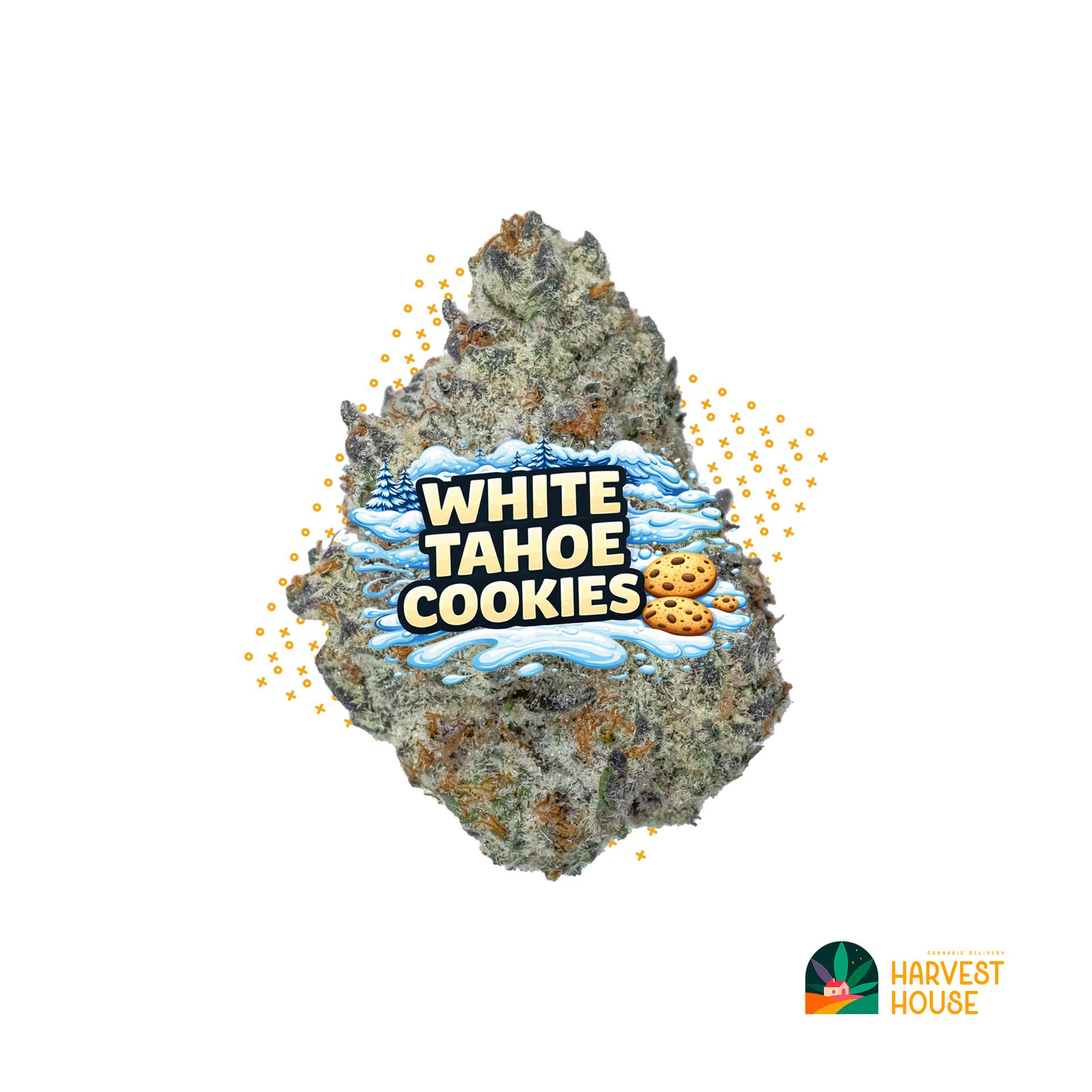 White Tahoe Cookies - Hybrid - 29.12% THC by Animal