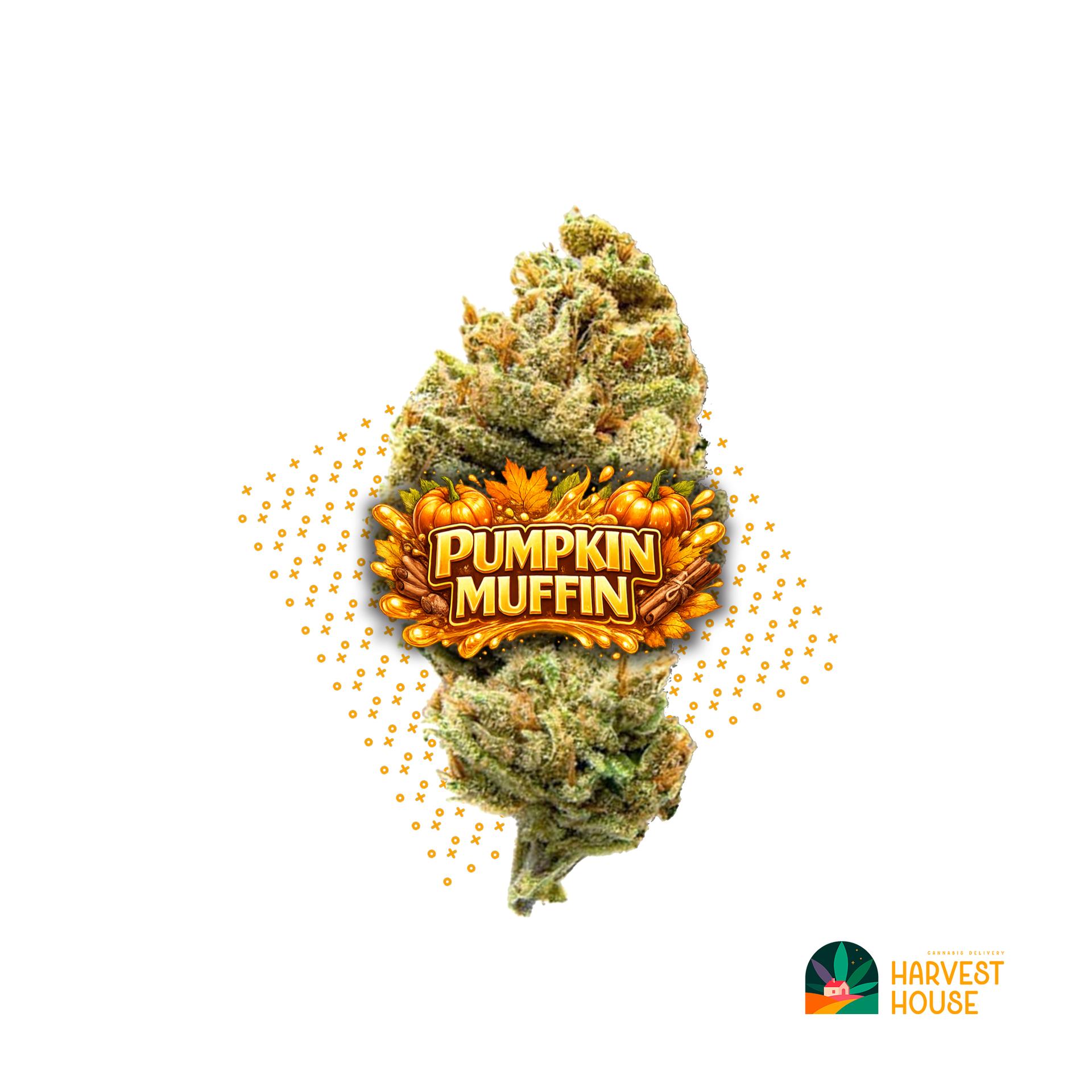 Pumpkin Muffin - Hybrid - 30.78% THC by Animal