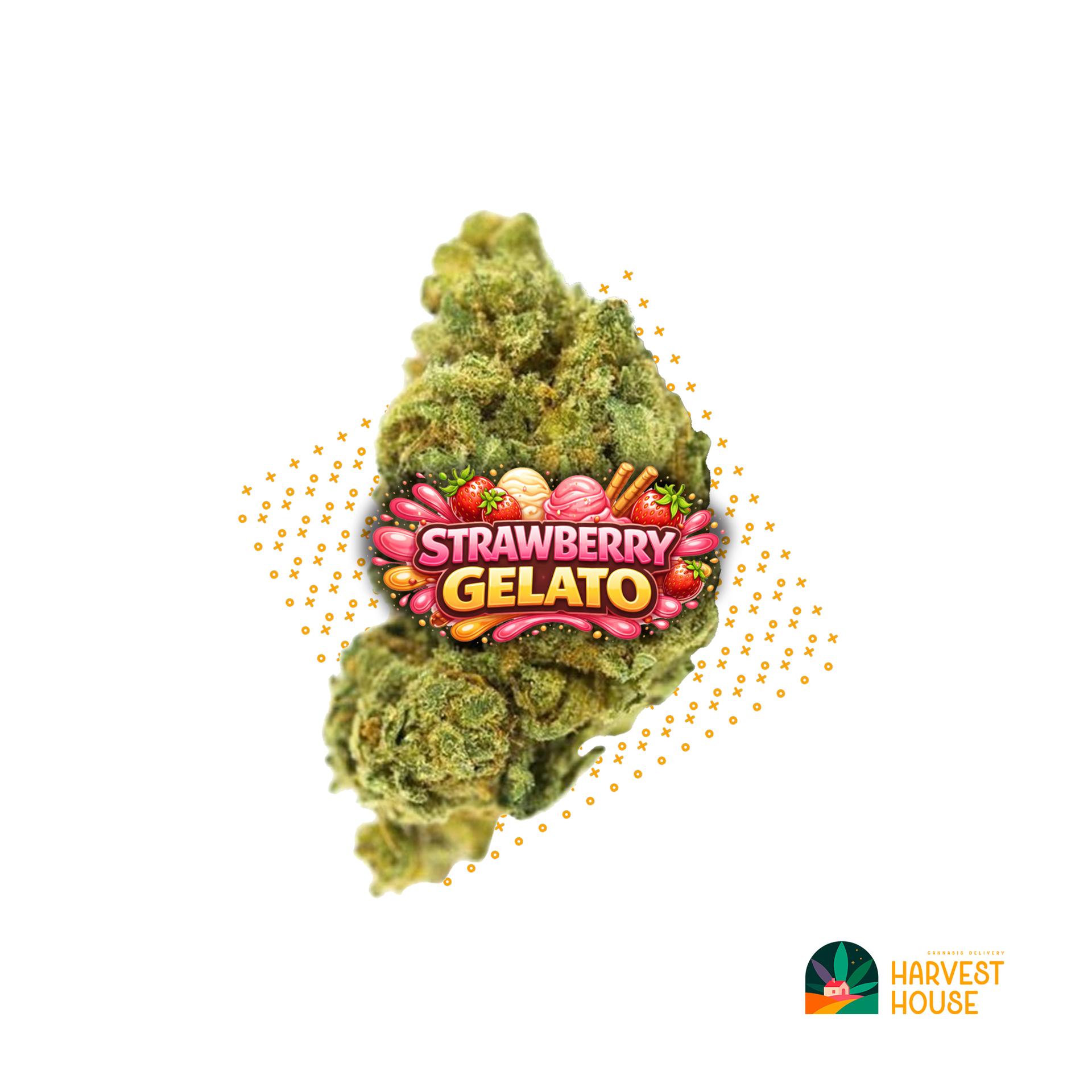 Strawberry Gelato - Hybrid - 31% THC by Animal