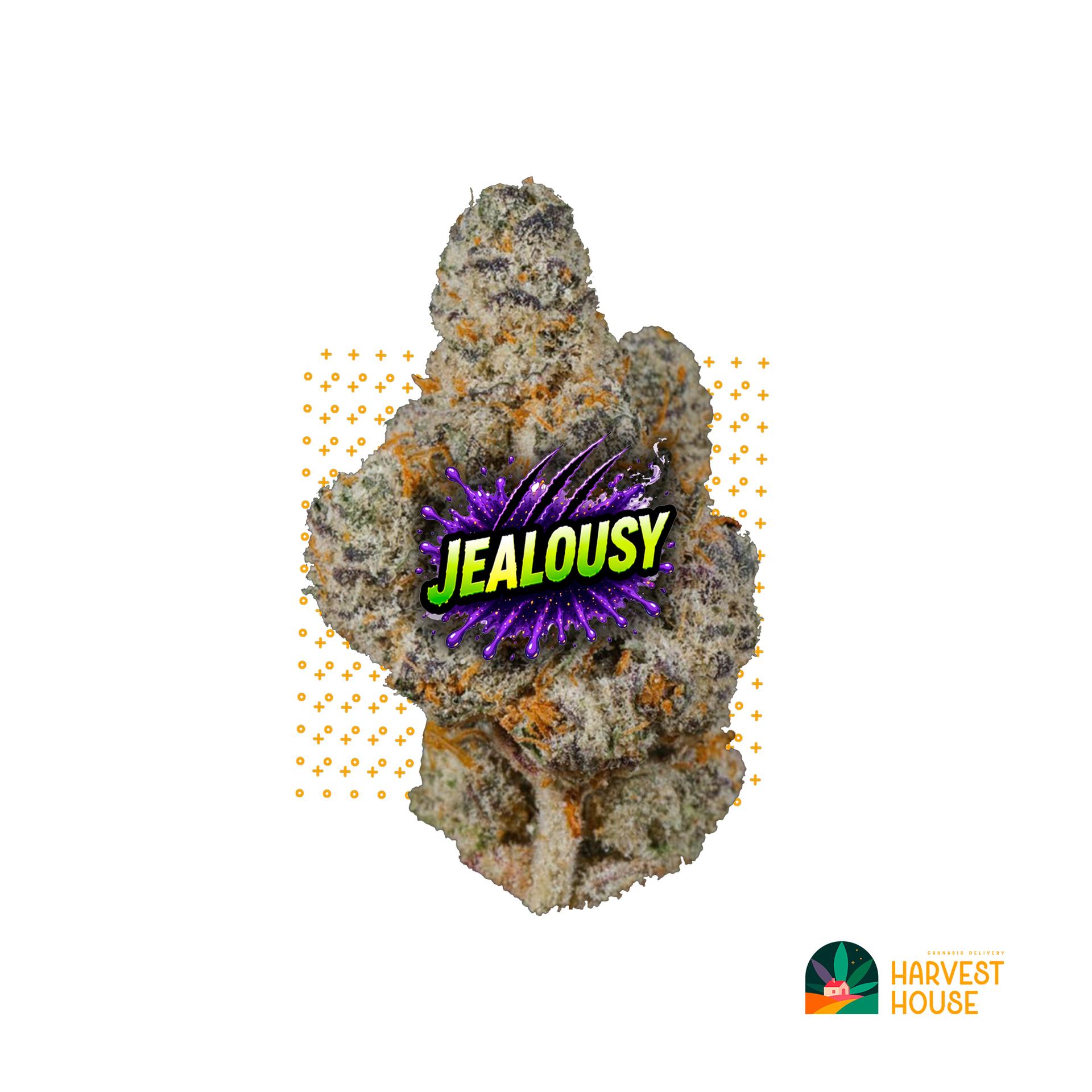 Jealousy - Hybrid - 30.44% THC by Animal