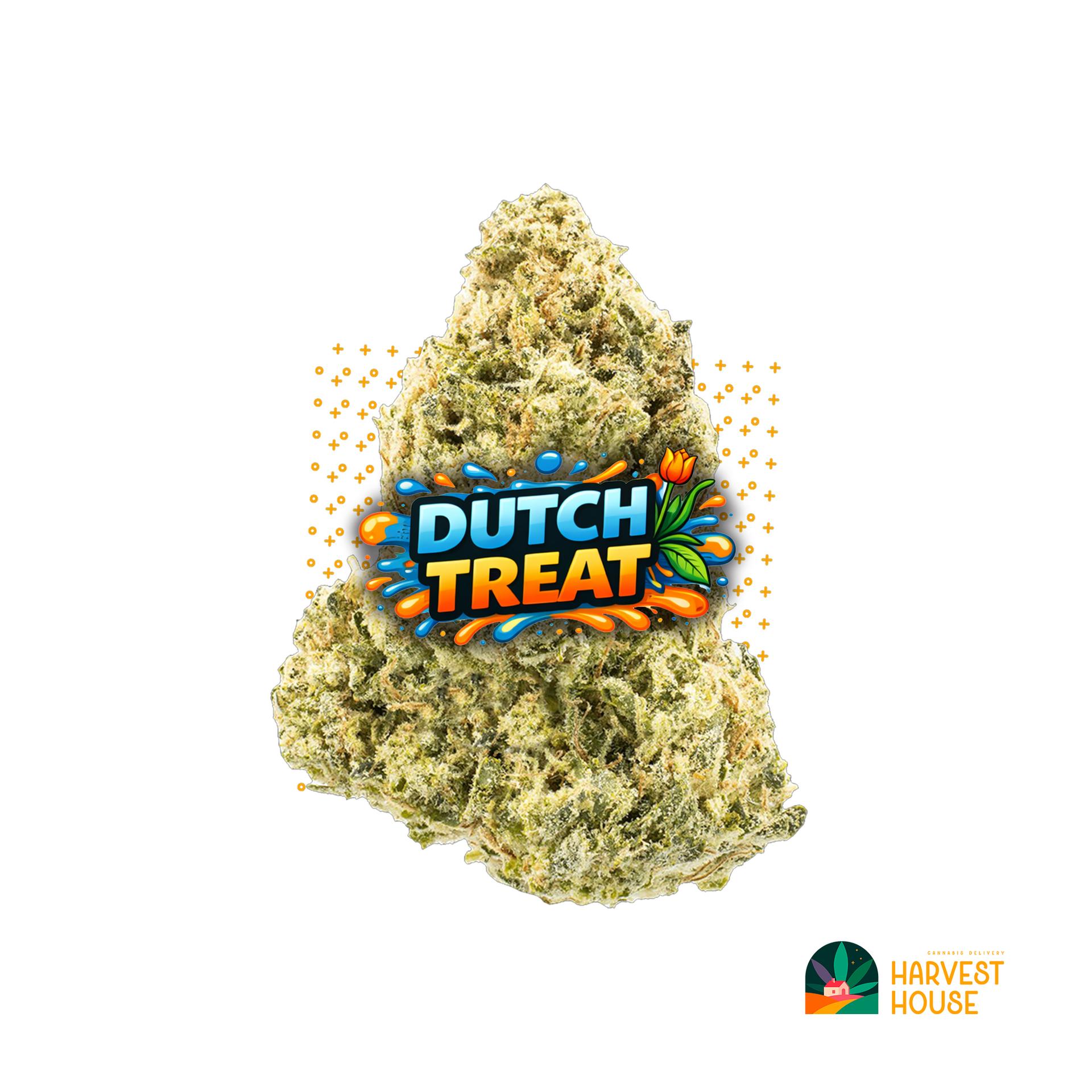 Dutch Treat - Hybrid - 32.11% THC by Animal
