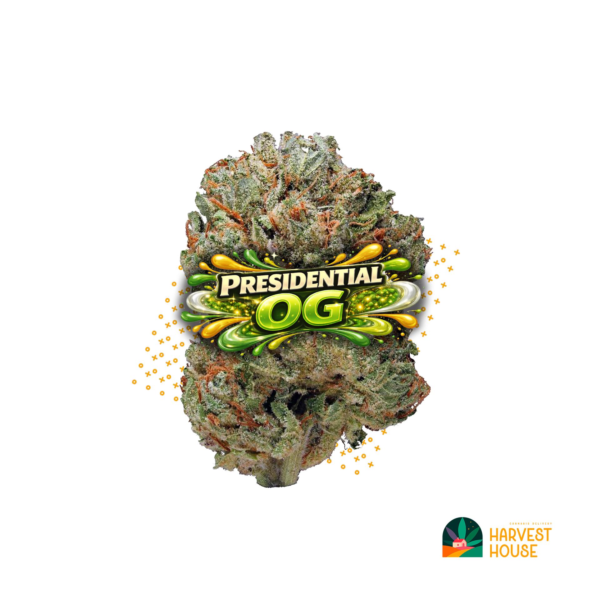 Presidential OG - Indica- 29.11% THC by Animal