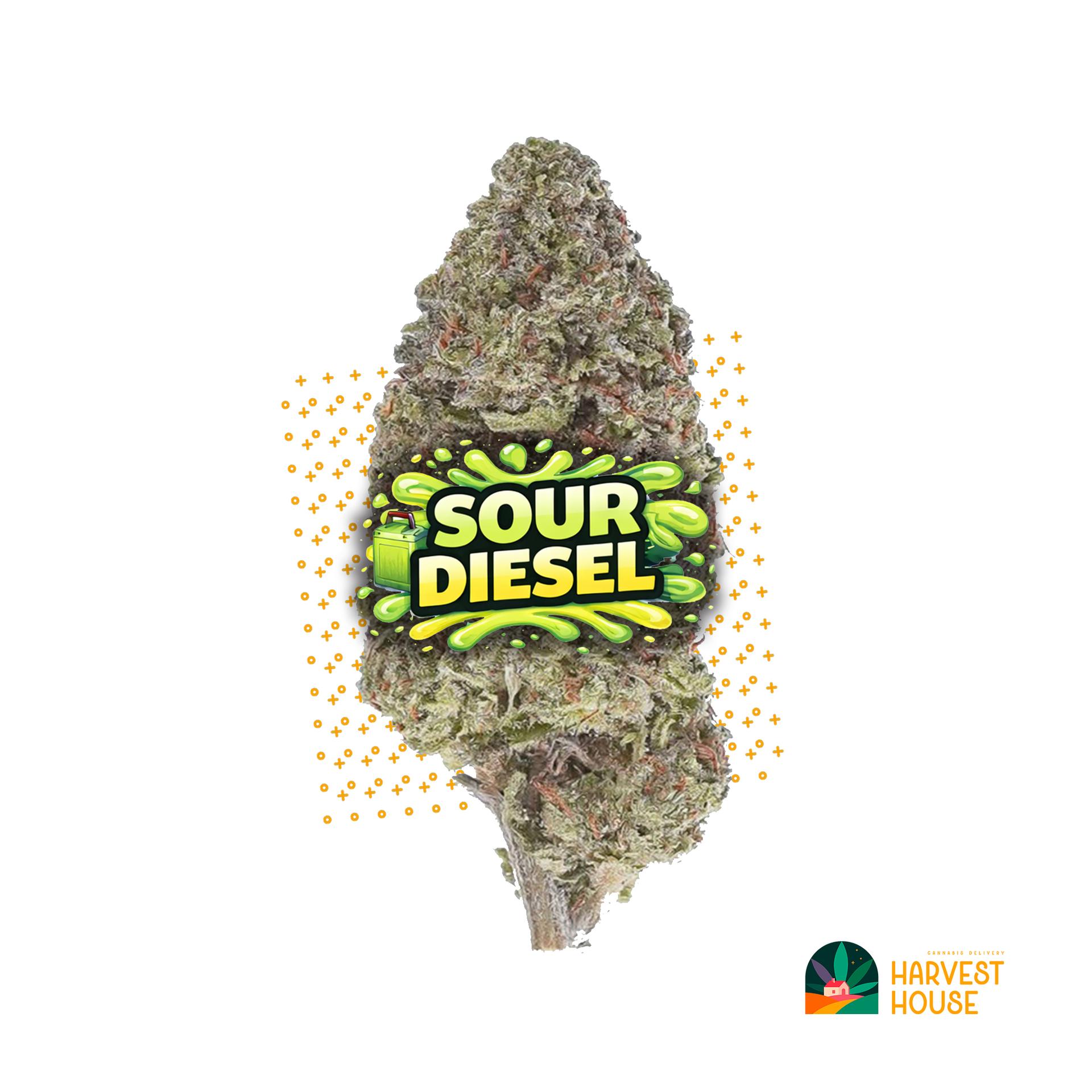 Sour Diesel - Sativa - 27.88% THC by Animal