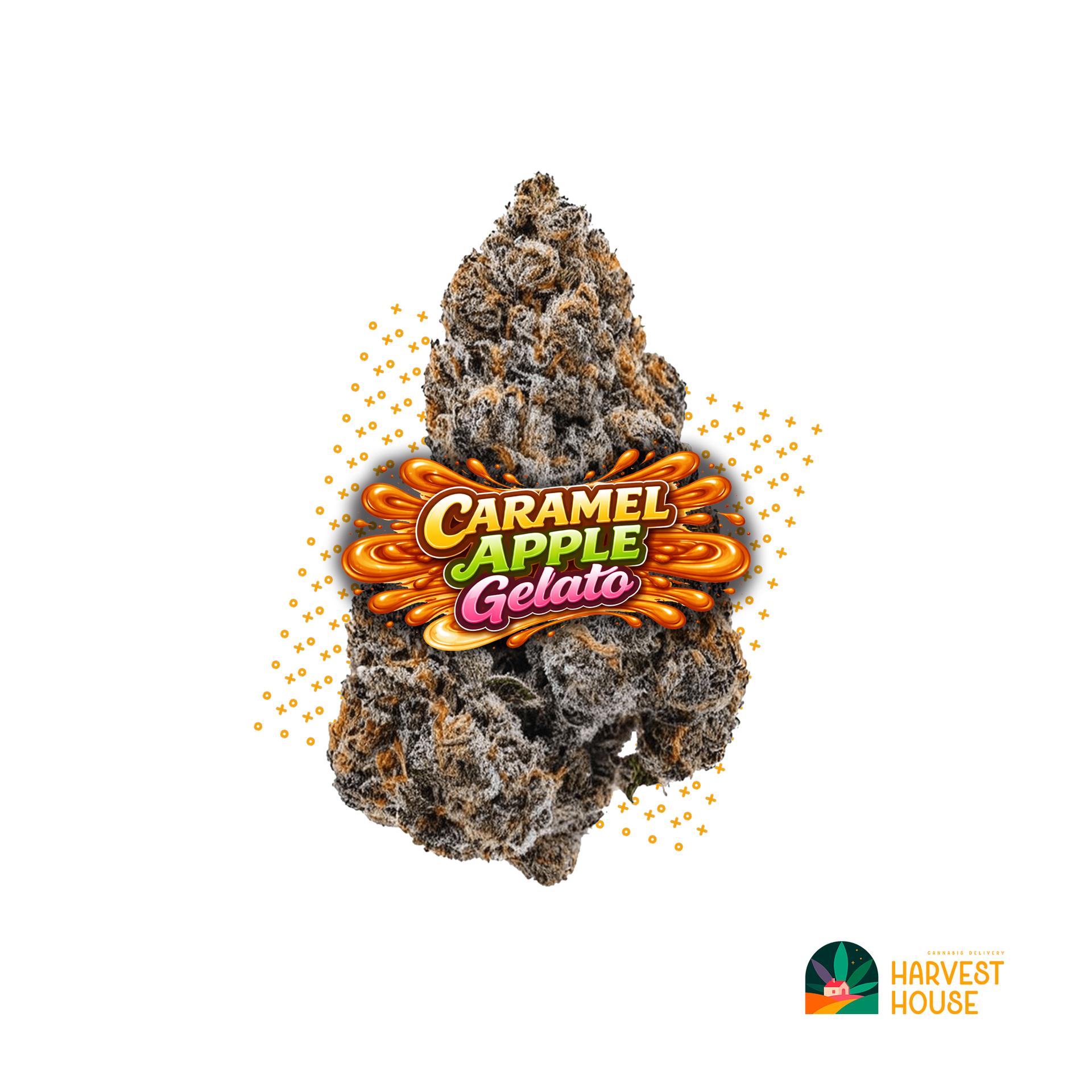 Caramel Apple Gelato - Hybrid - 30.12% THC by Animal