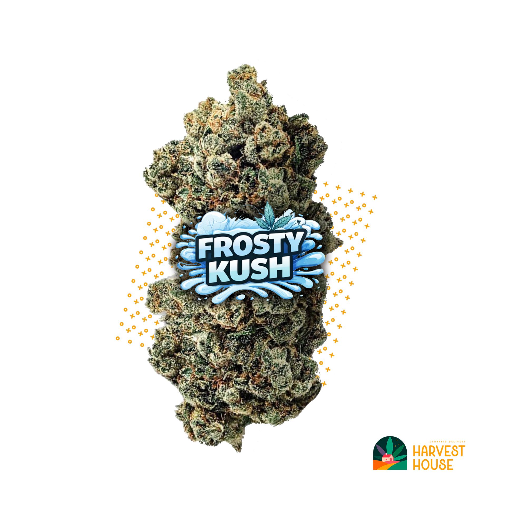 Frosty Kush - Indica - 33.66% THC by Animal