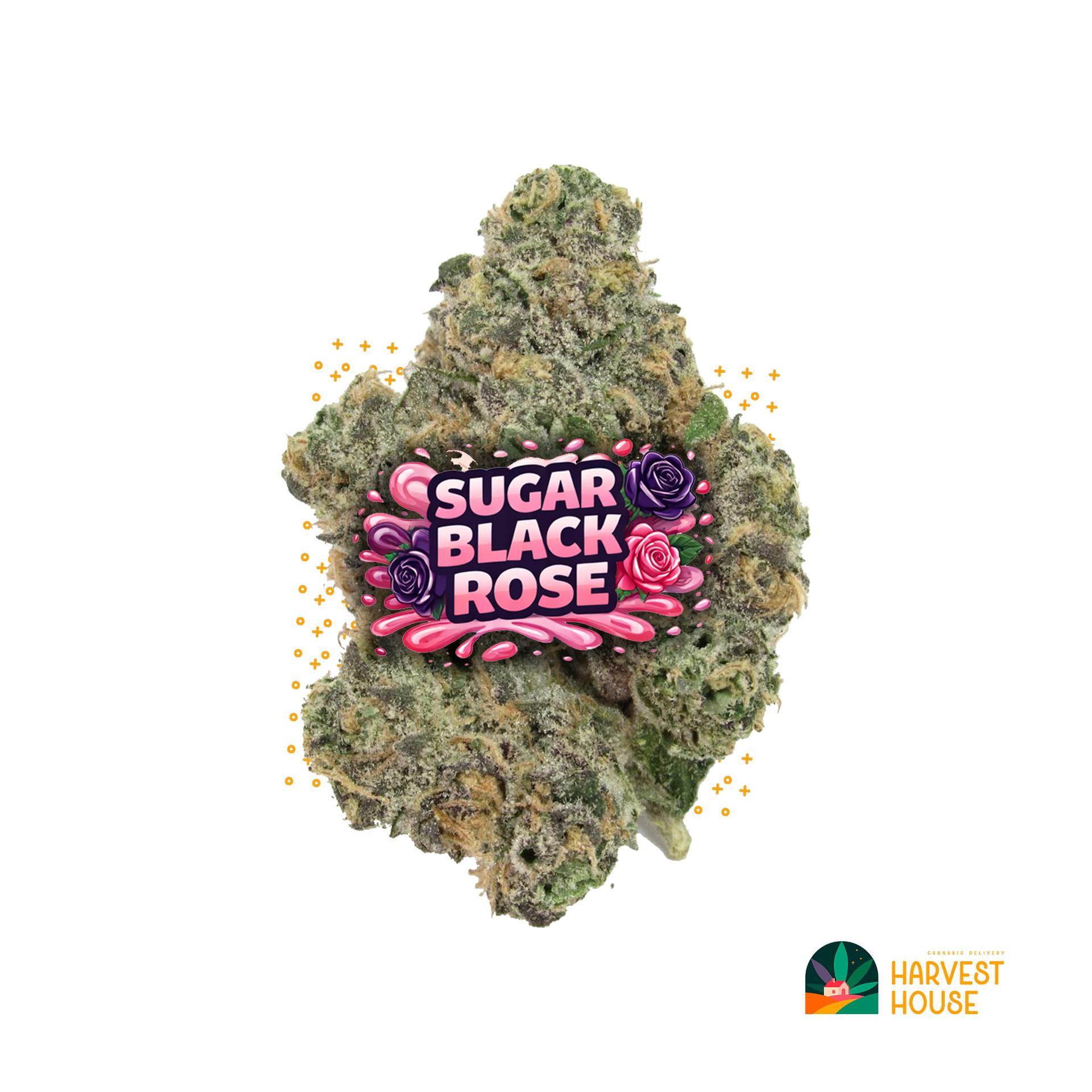 Sugar Black Rose - Hybrid - 29.78% THC by Animal