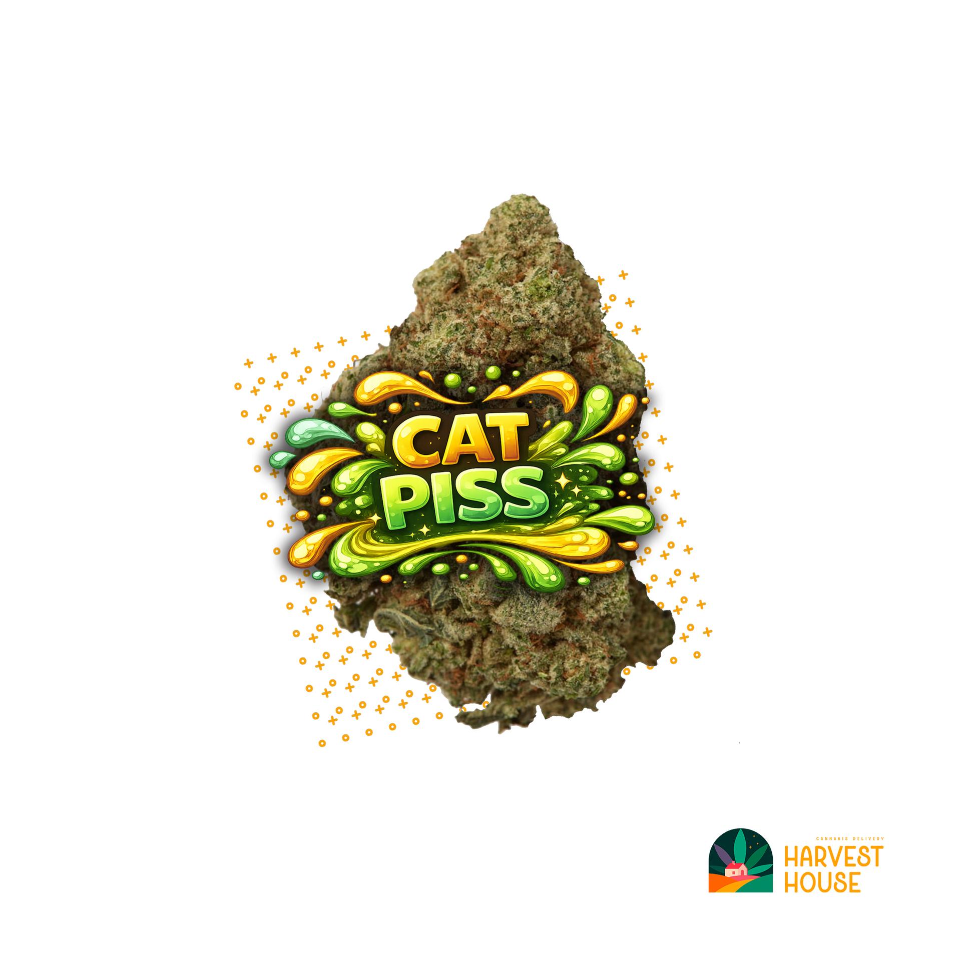 Cat Piss - Sativa - 28.92% THC by Animal