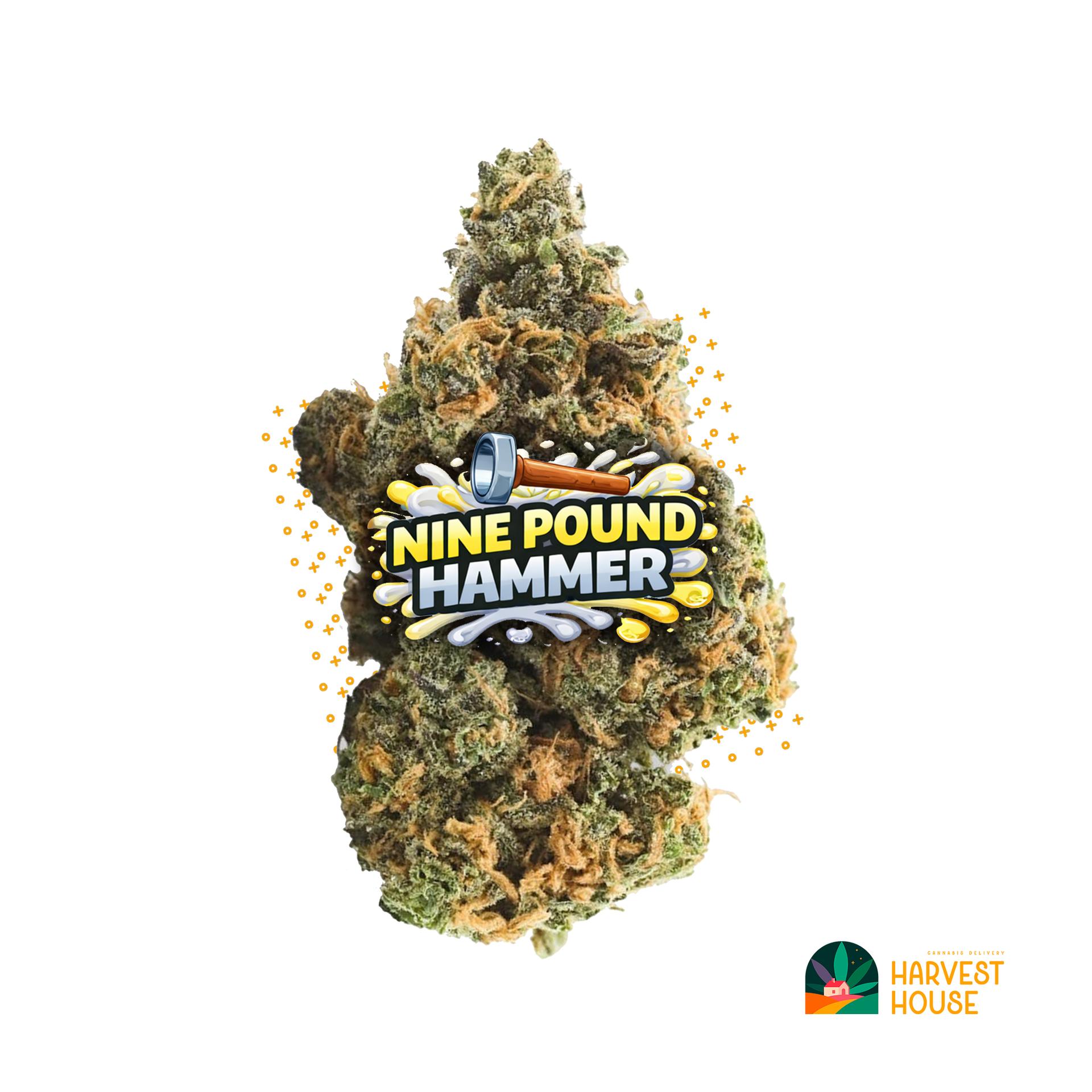 Nine Pound Hammer - Indica - 32.11% THC by Animal