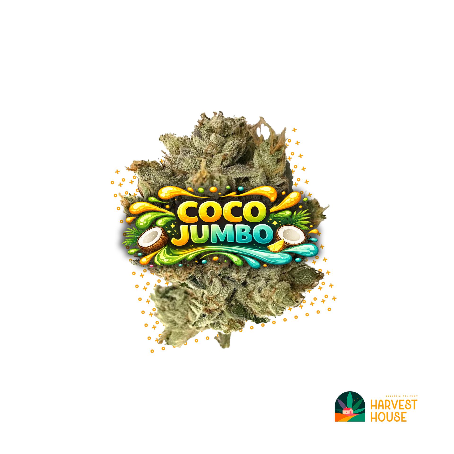 Coco Jumbo - Indica - 31% THC by Animal