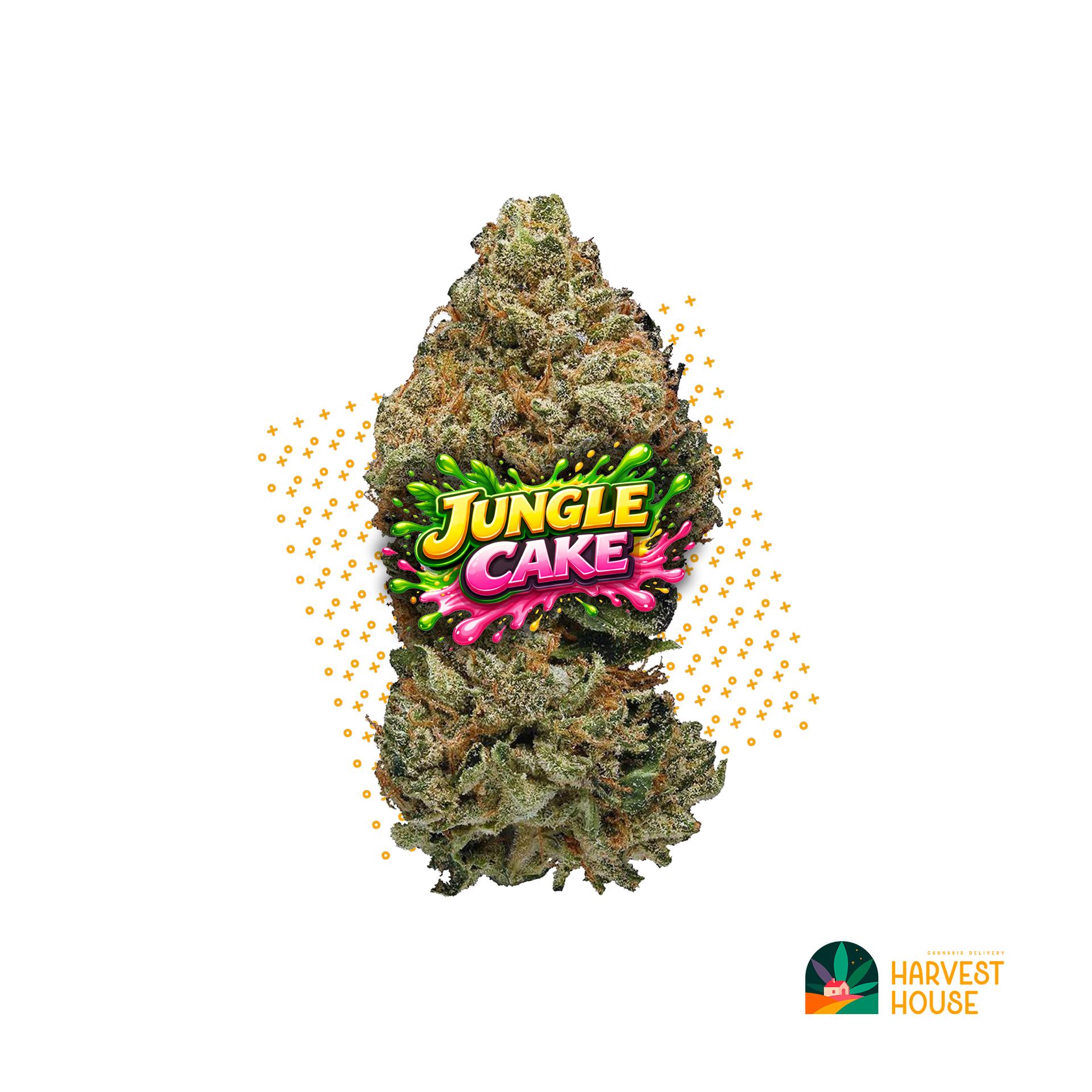 Jungle Cake - Hybrid - 29.77% THC by Animal