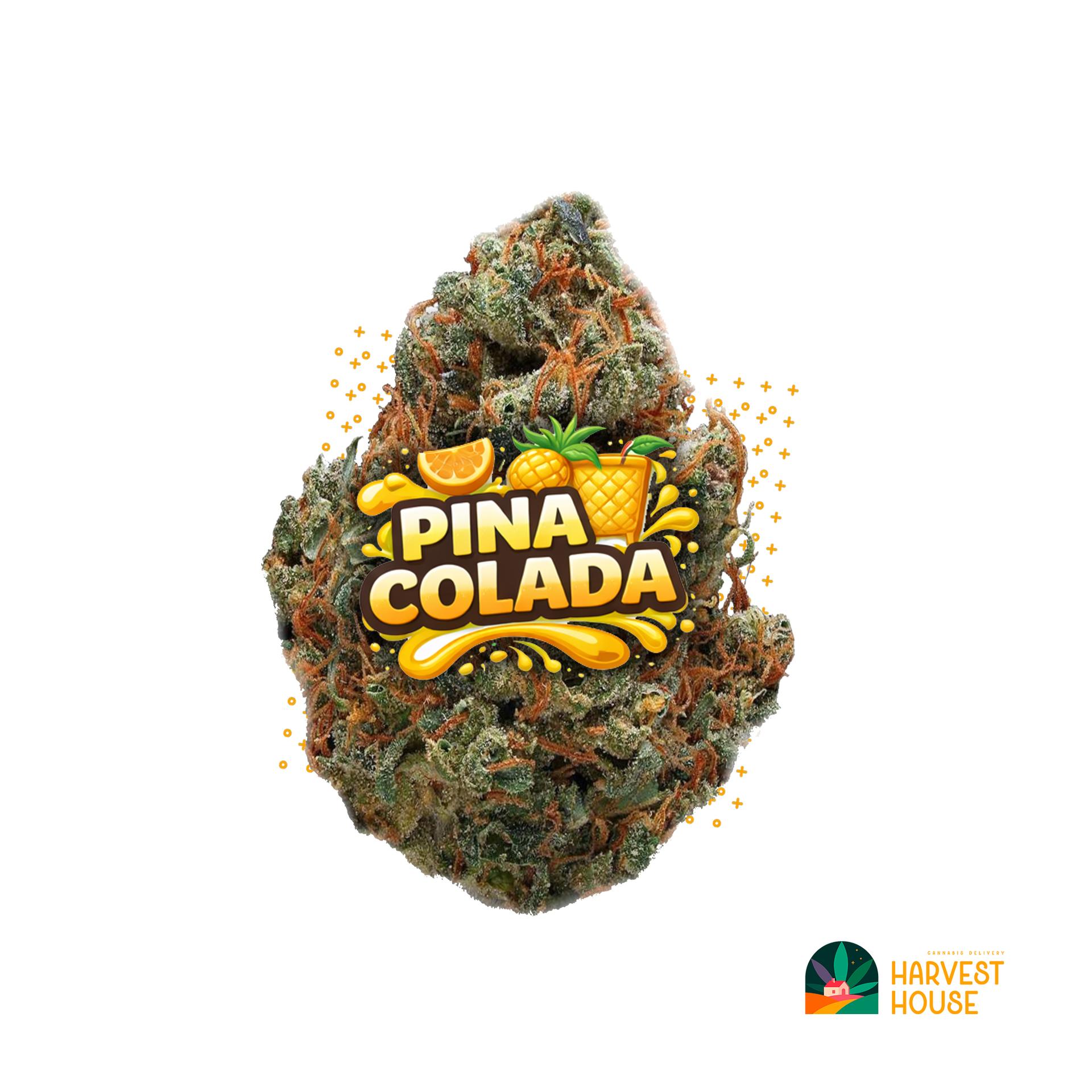 Pina Colada - Hybrid - 37% THC by Animal