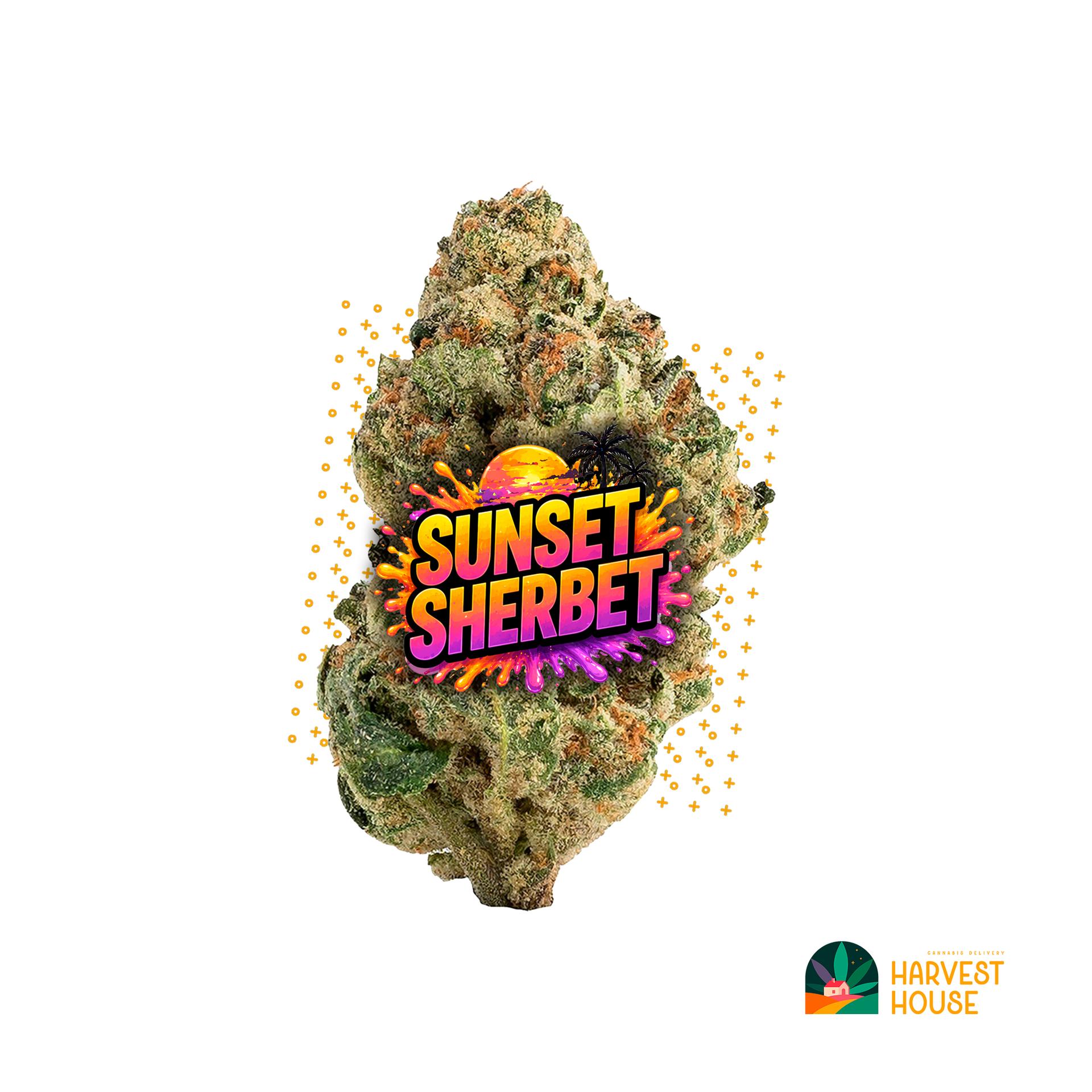 Sunset Sherbet - Hybrid - 25.87% THC by Animal