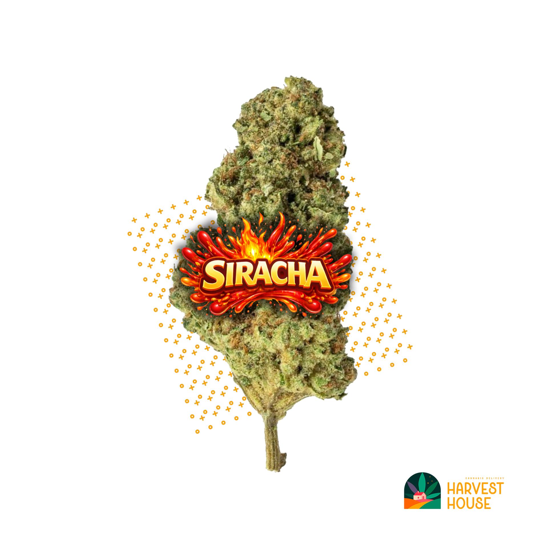 Siracha - Sativa - 28.98% THC by Animal