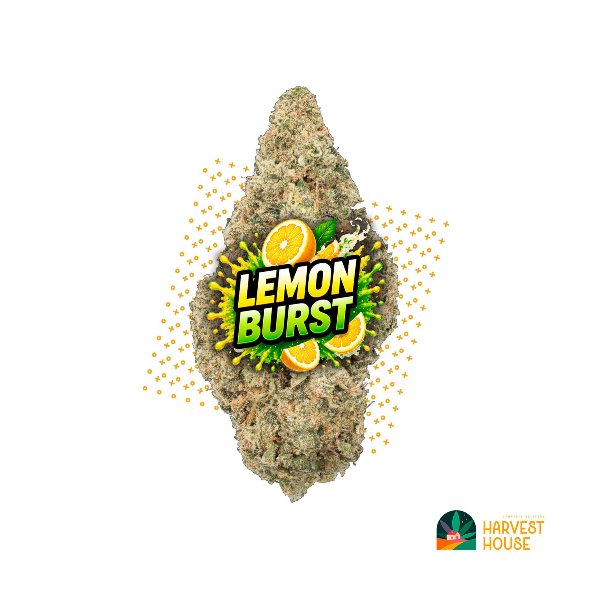 Lemon Burst - Sativa - 25.77% THC by Animal