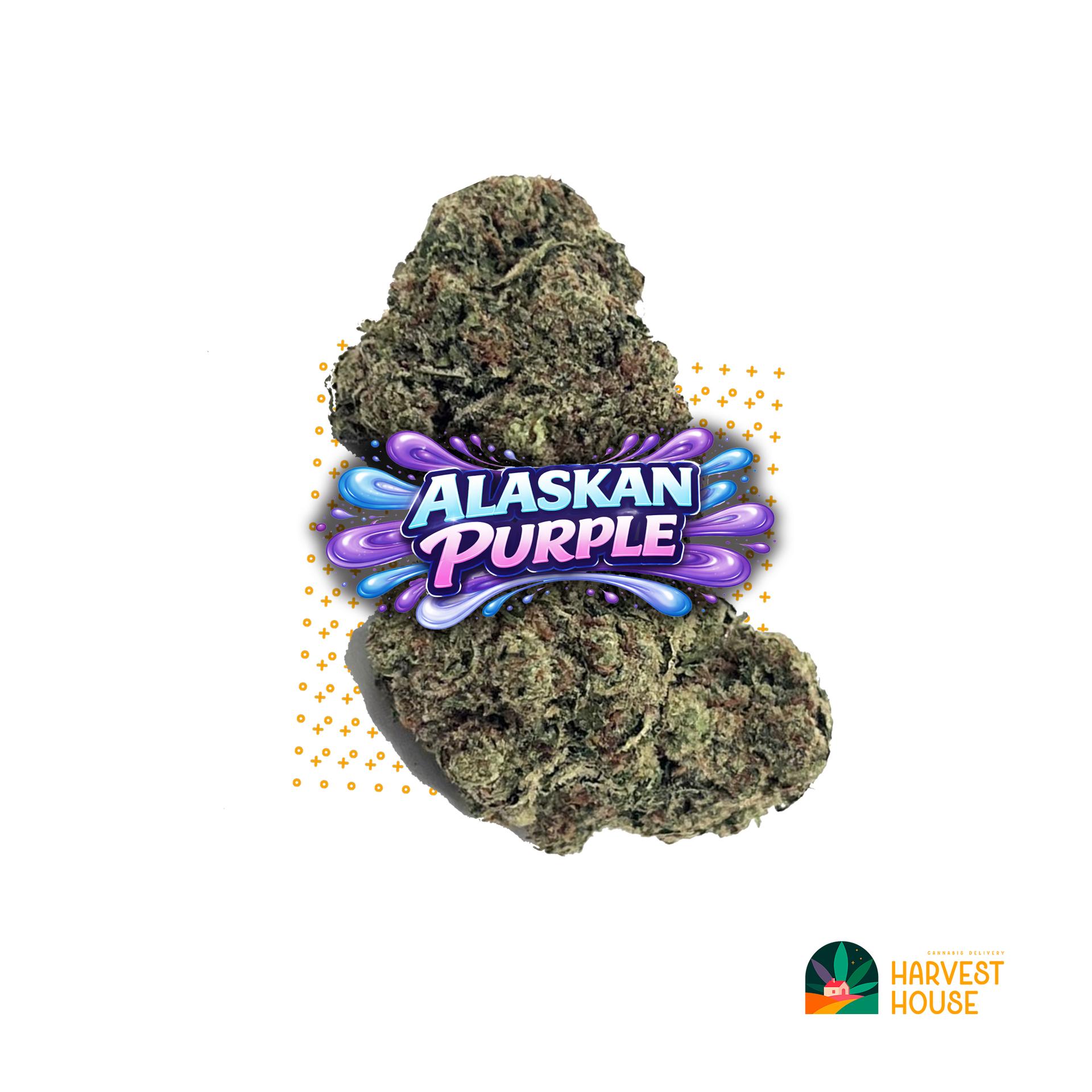Alaskan Purple - Hybrid - 28.98% THC by Animal