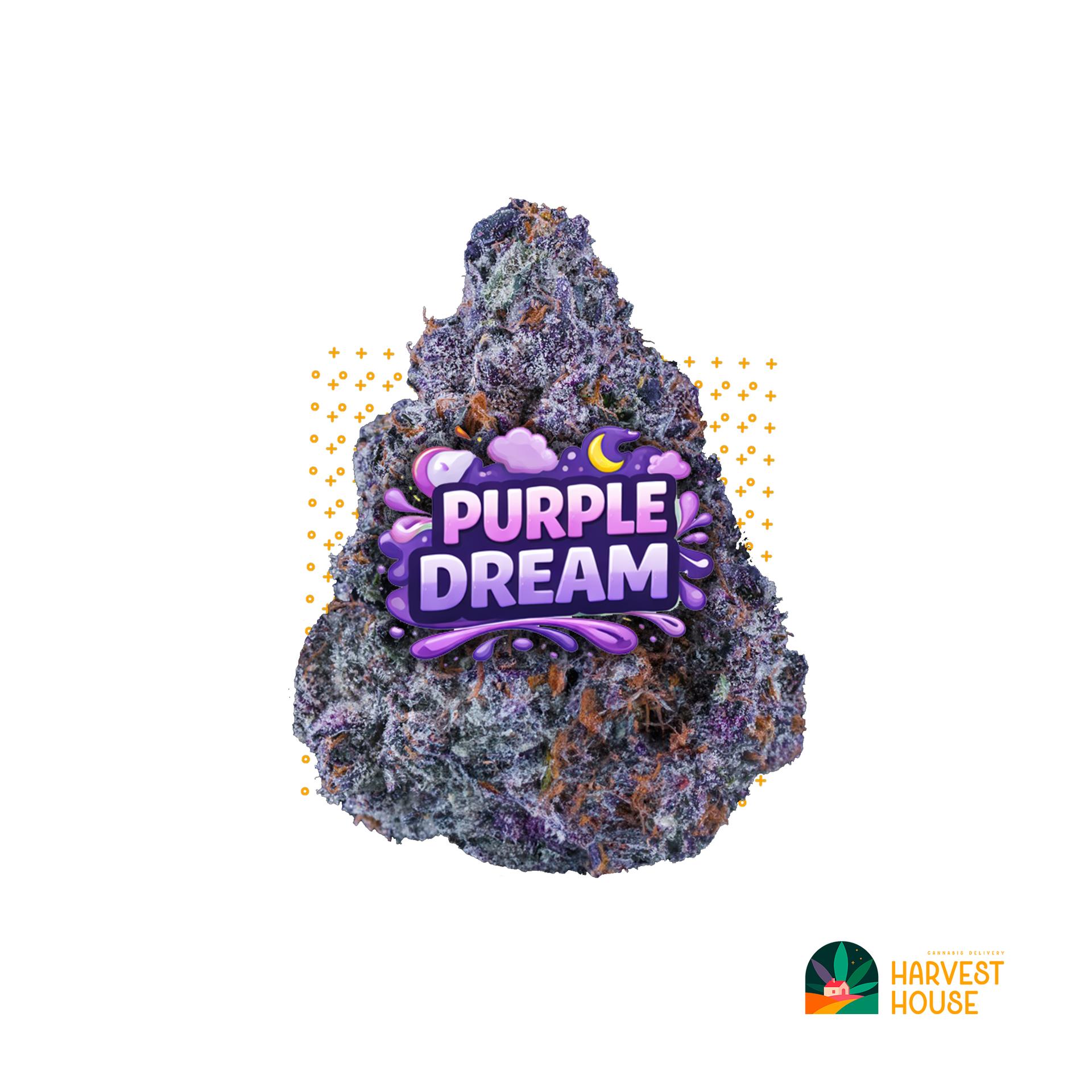 Purple Dream - Sativa - 37% THC by Animal