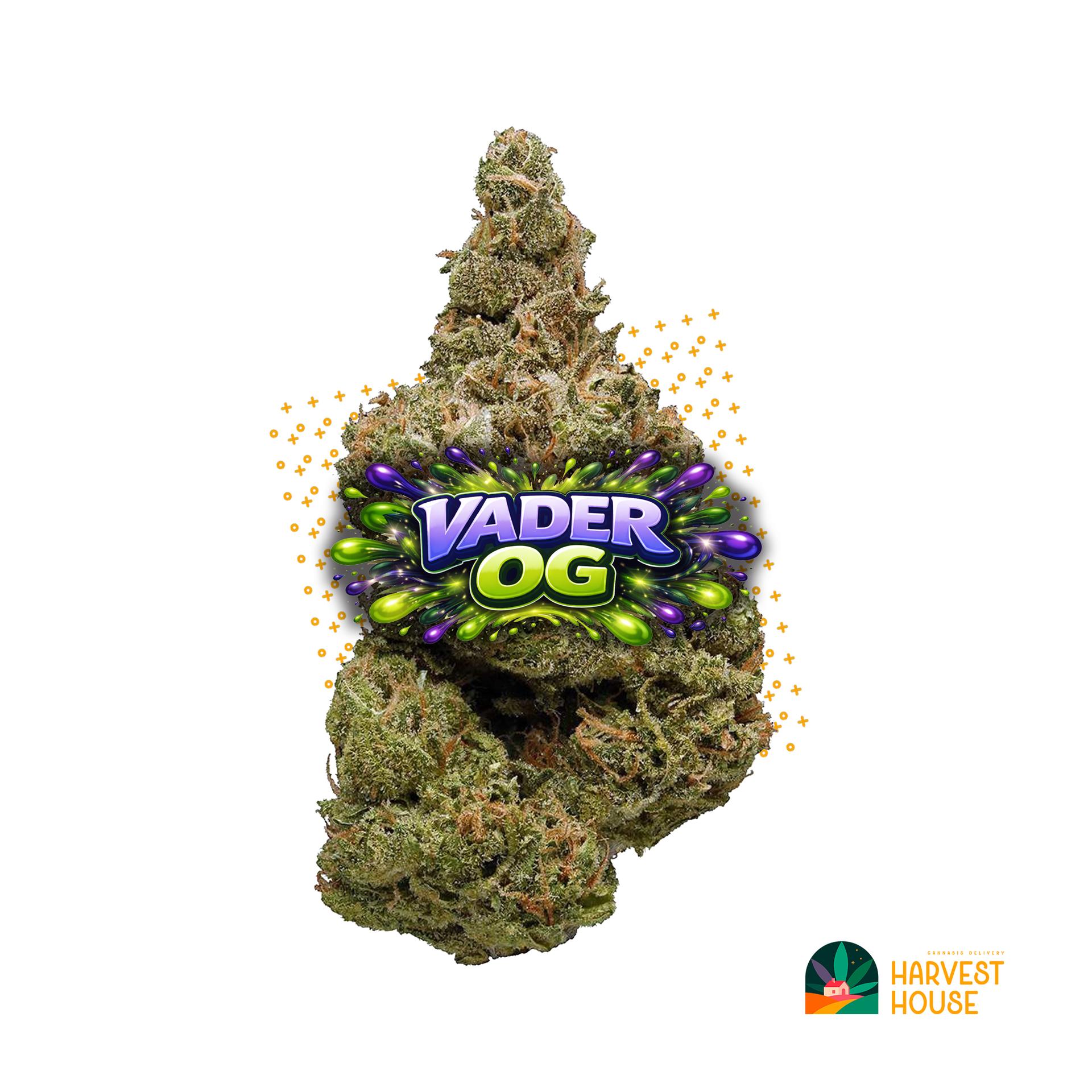 Vader OG - Indica - 28.98% THC by Animal