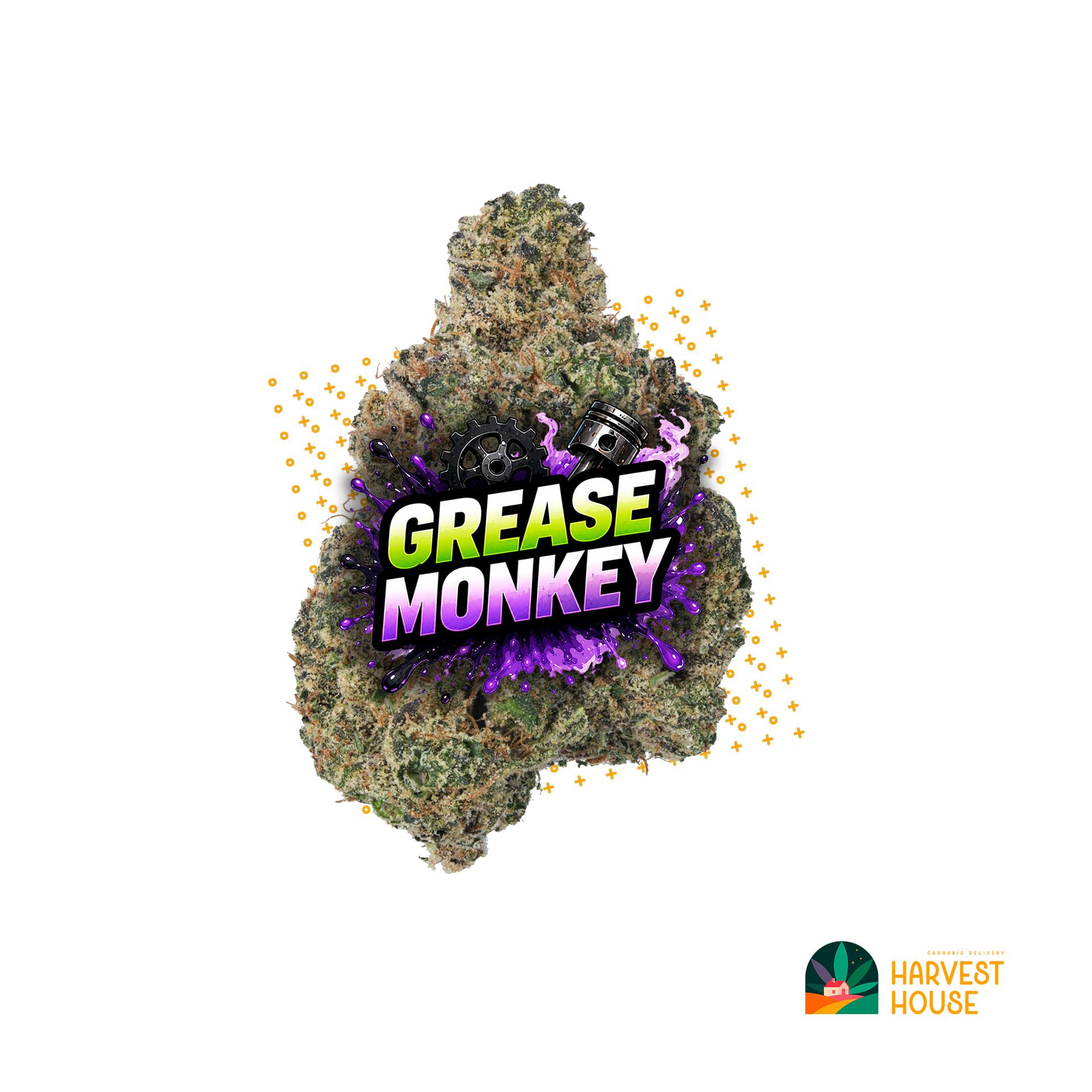 Grease Monkey - Indica - 26.78% THC by Animal