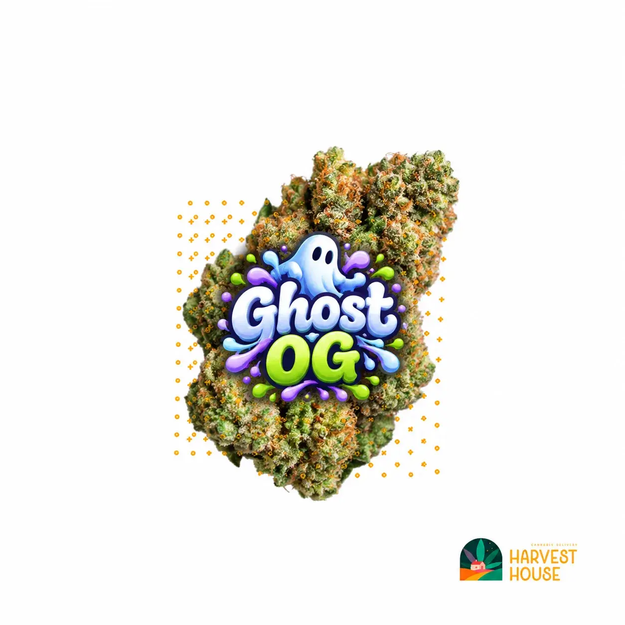 Ghost OG - Indica - 32.21% THC by Harvest House