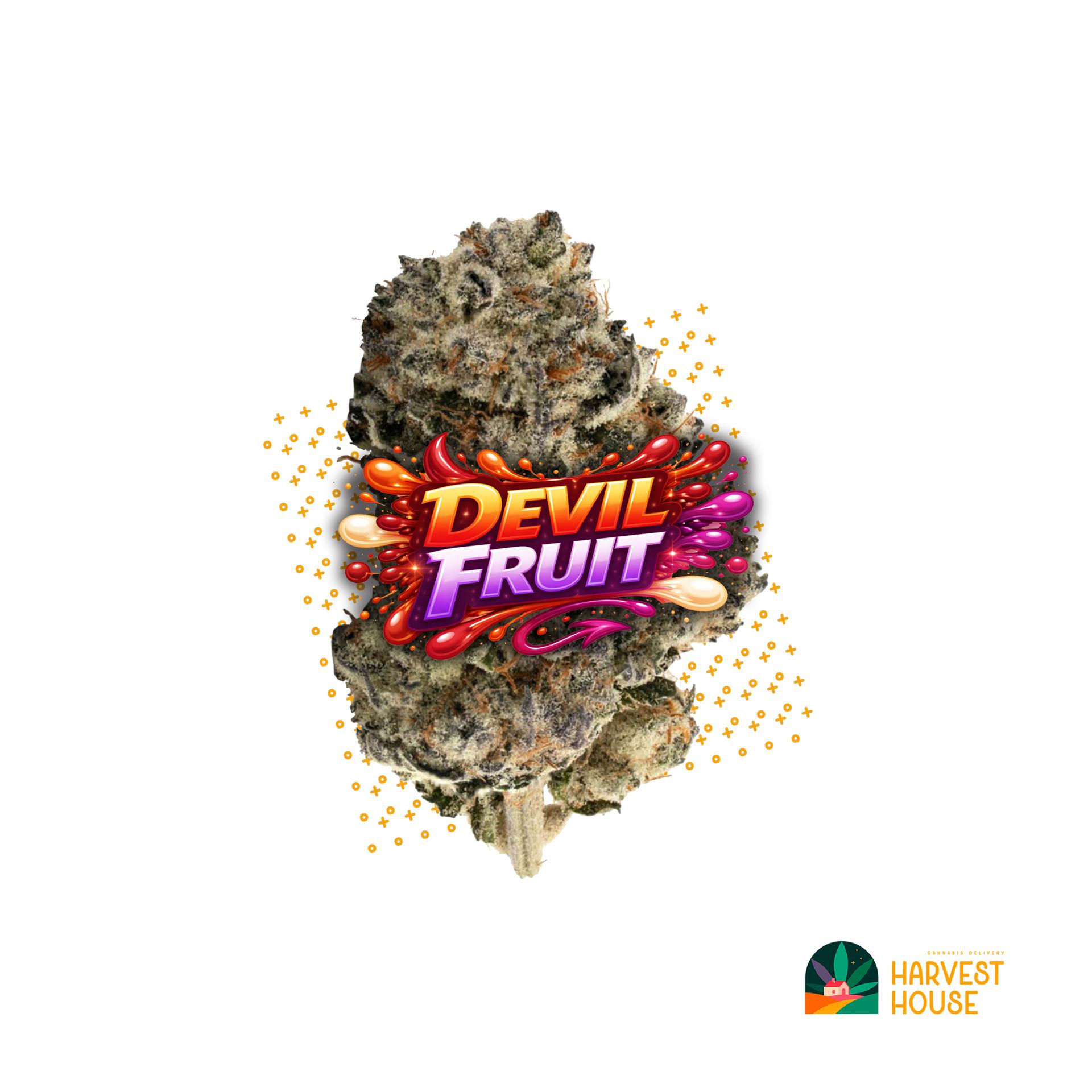 Devil Fruit - Indica - 27.63% THC by Animal