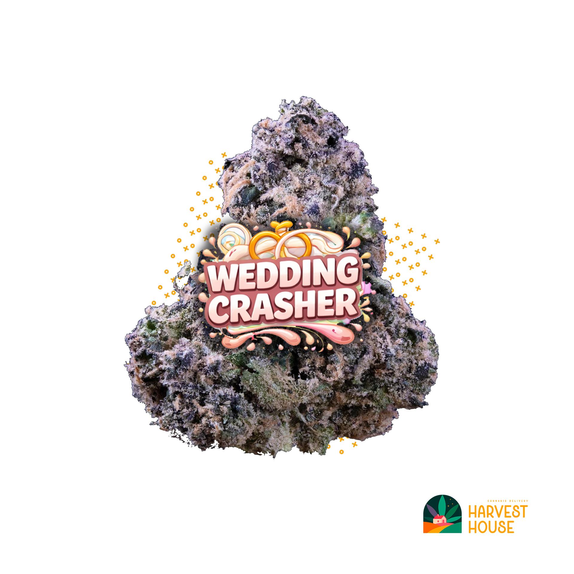 Wedding Crasher - Hybrid - 38% THC by Animal