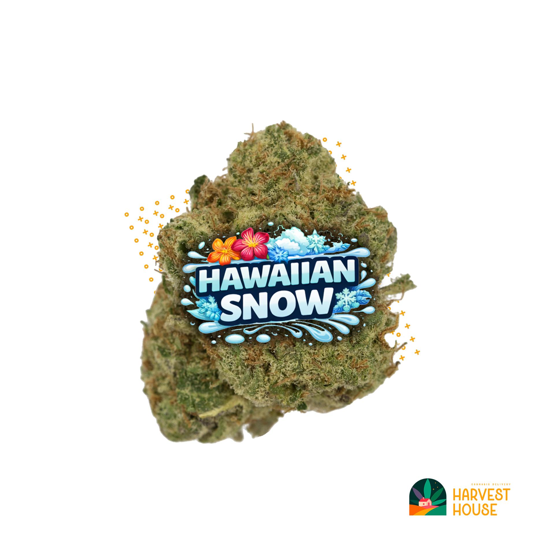 Hawaiian Snow - Sativa - 26.33% THC by Animal