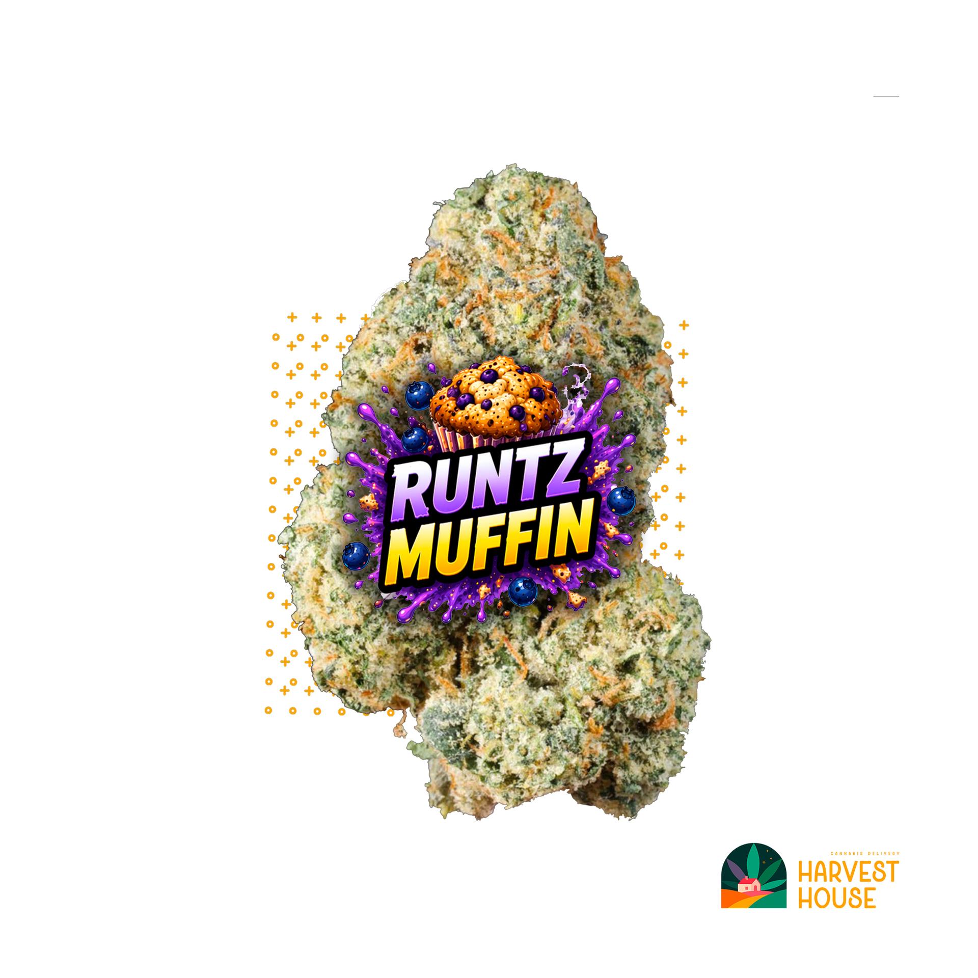 Runtz Muffin - Hybrid - 27.65% THC by Animal