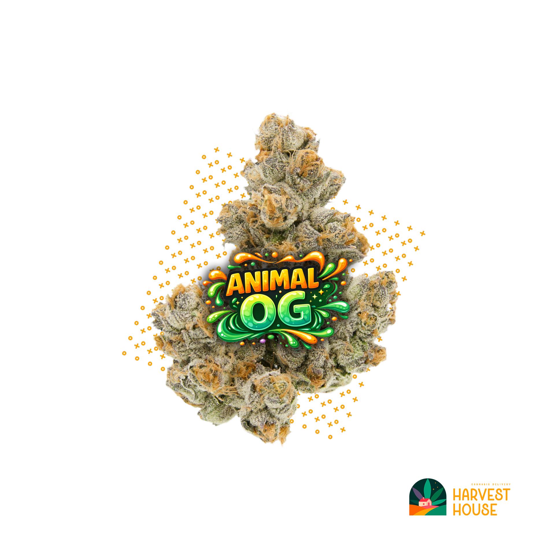 Animal OG - Indica - 39.99% THC