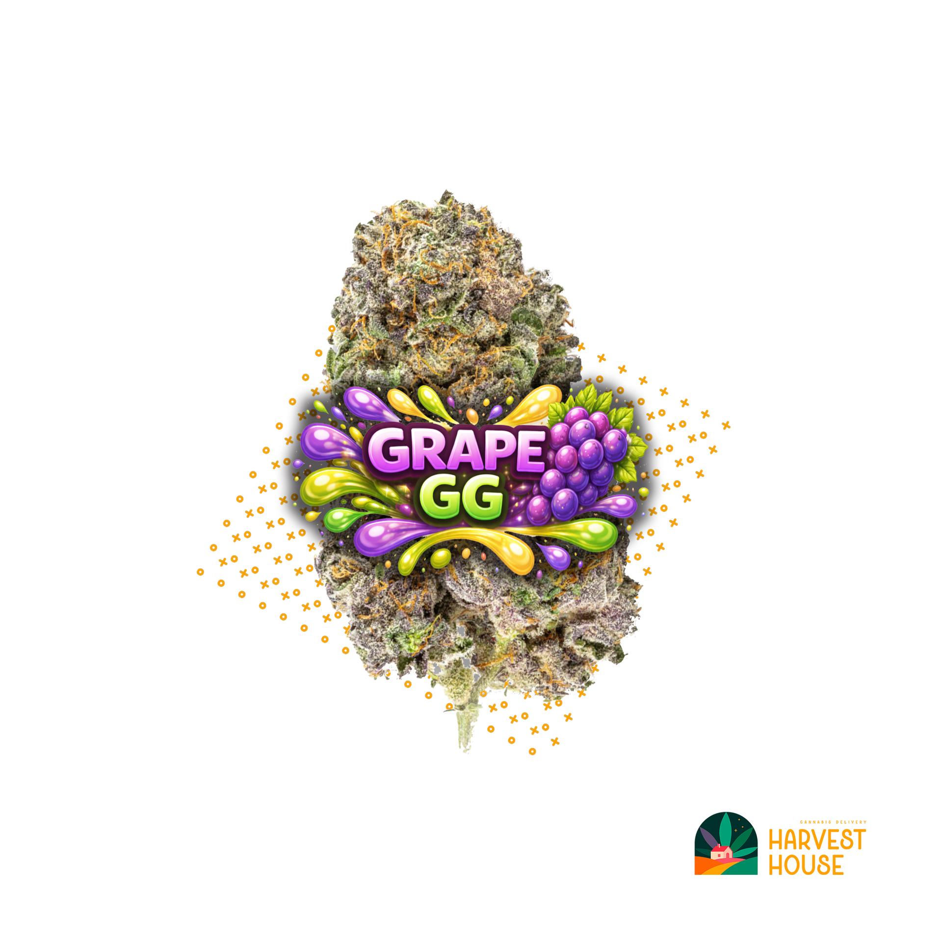 Grape GG - Hybrid - 36% THC by Animal