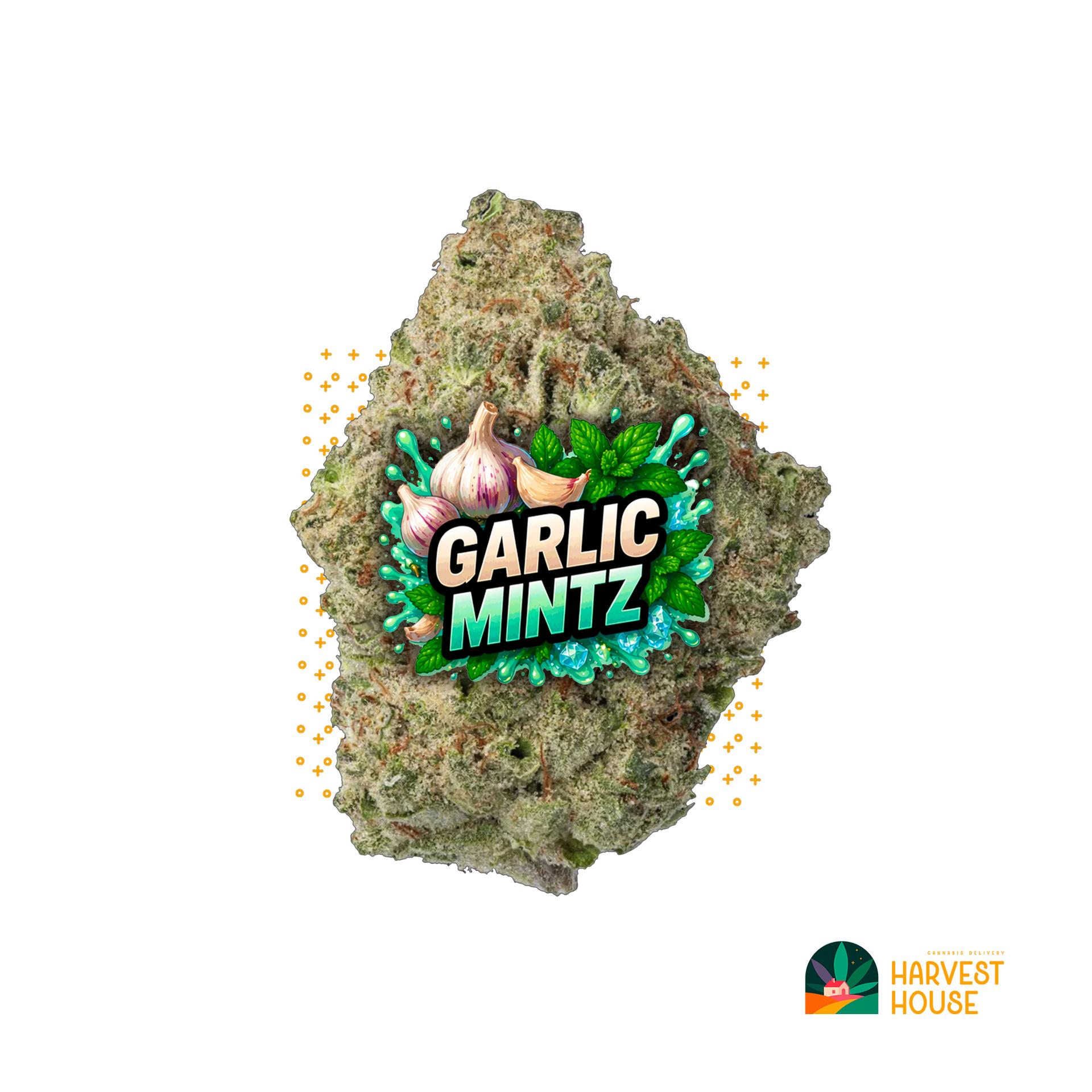 Garlic Mintz - Indica  - 29.11% THC by Animal