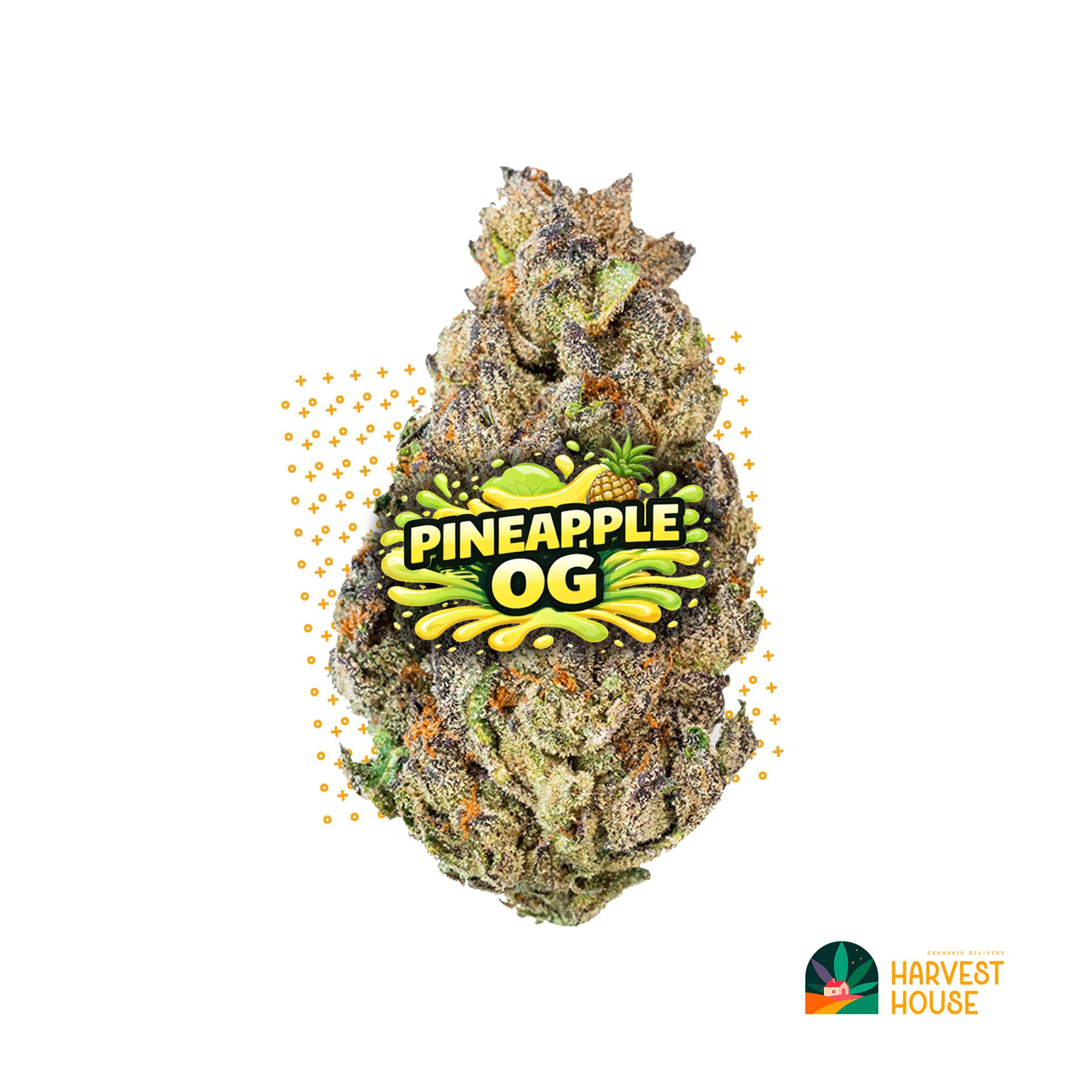 Pineapple OG - Hybrid - 32% THC by Animal