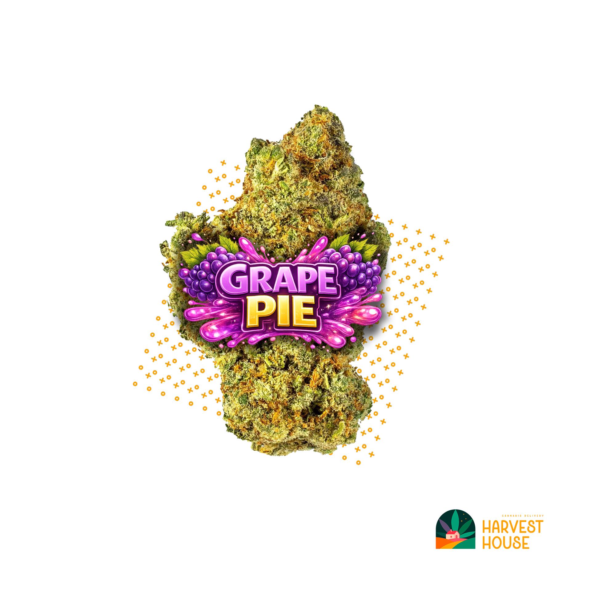 Grape Pie - Hybrid - 31.67% THC by Animal