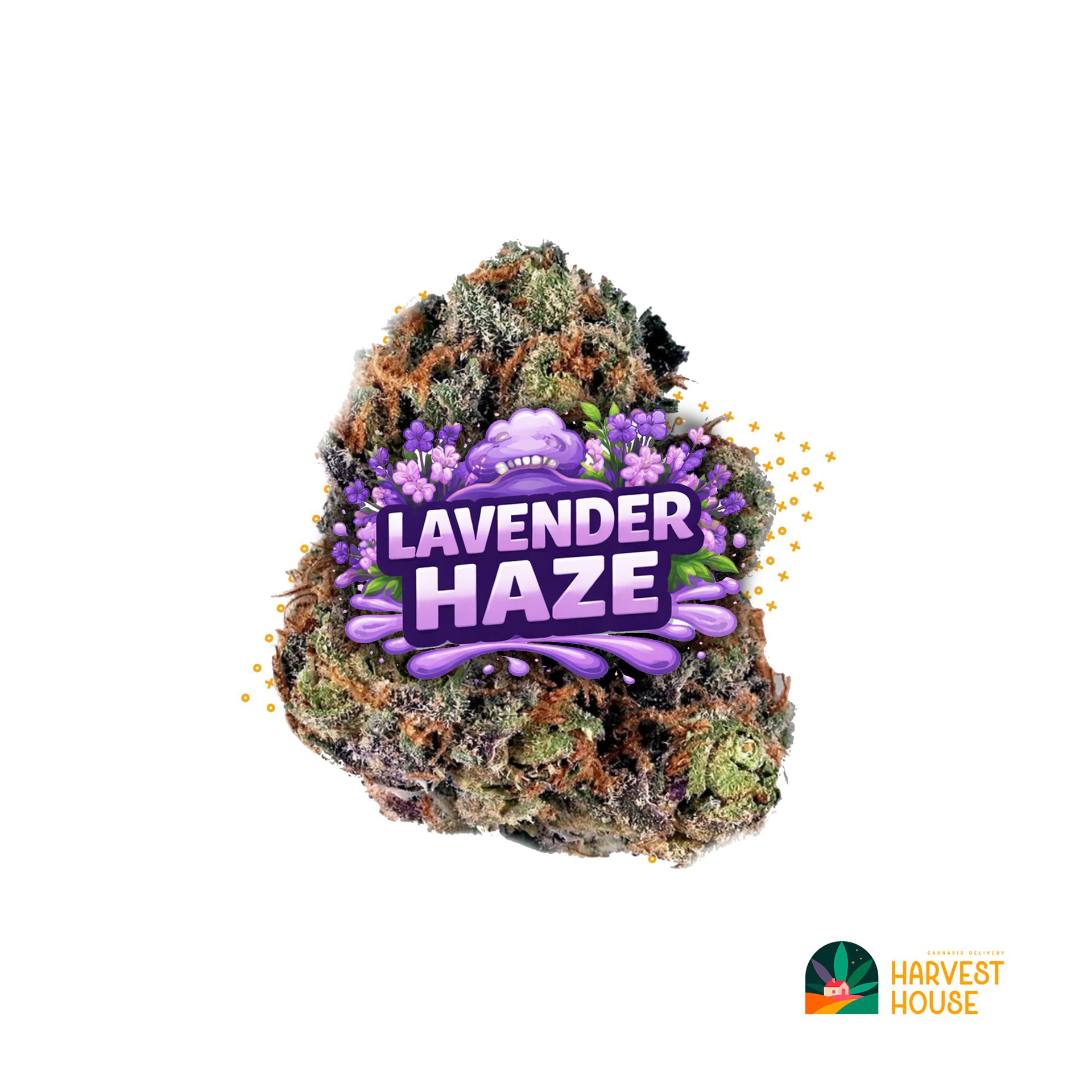 Lavender Haze - Sativa - 39.01% by Animal