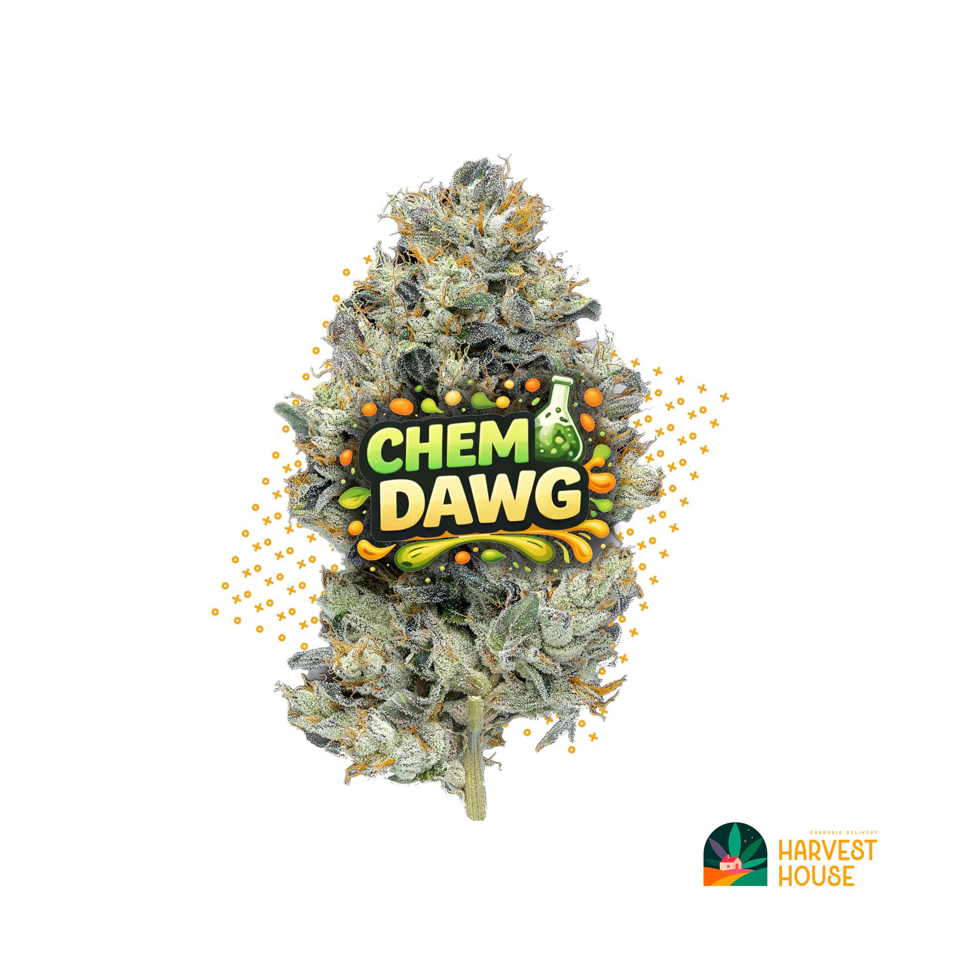 Chemdawg - Indica - 36.33% THC by Animal