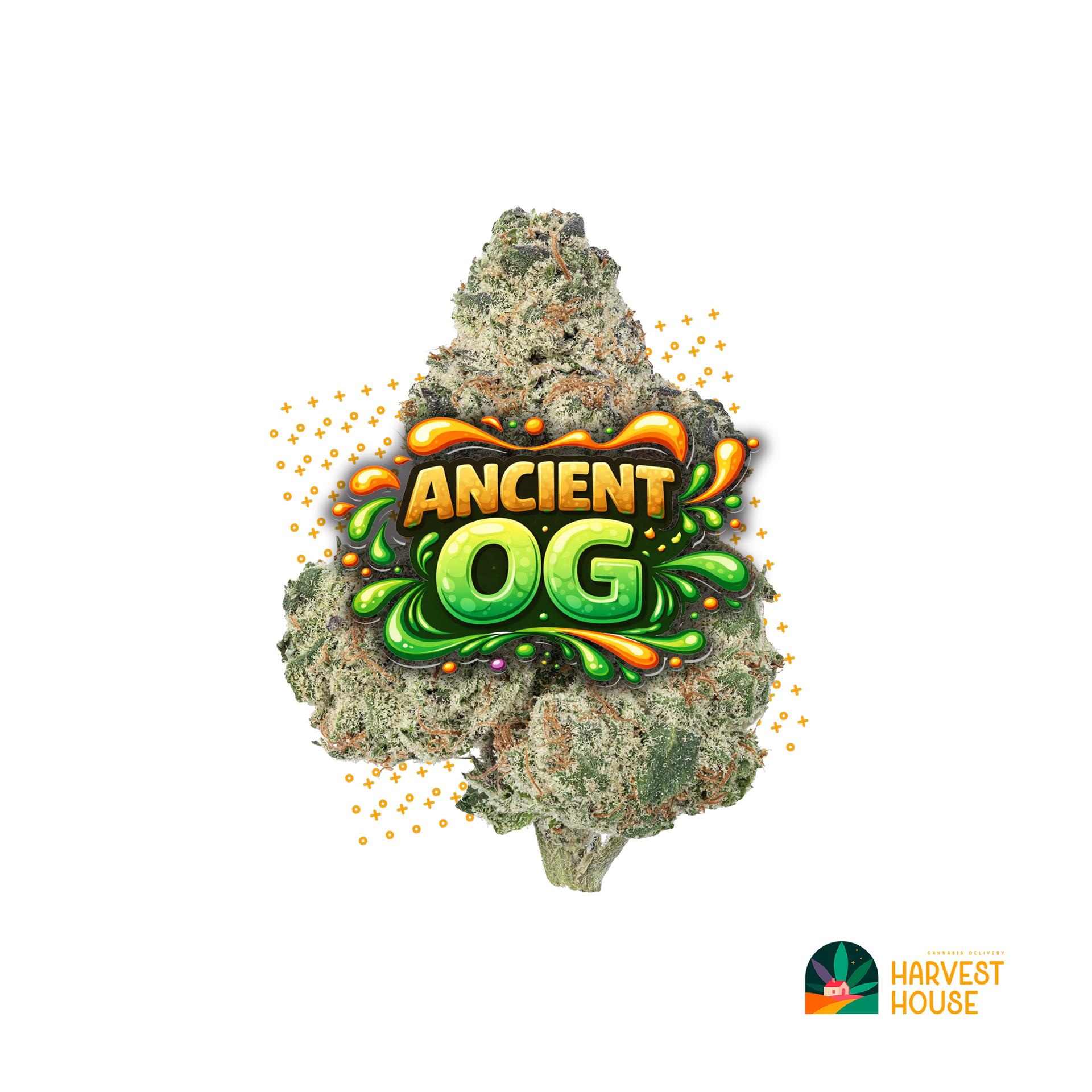 Ancient OG - Indica - 30.95% THC by Animal