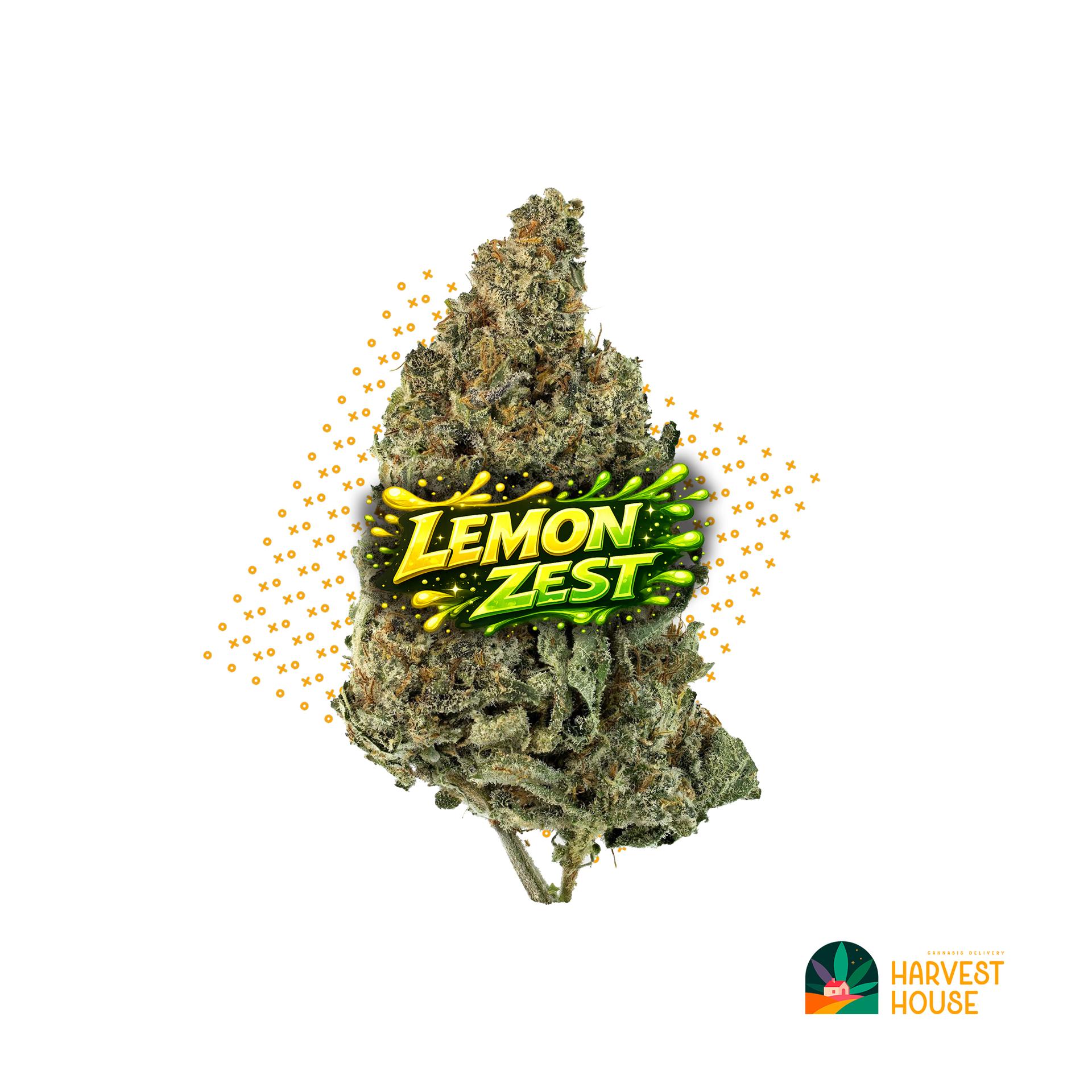 Lemon Zest - Sativa - 30.98% THC by Animal