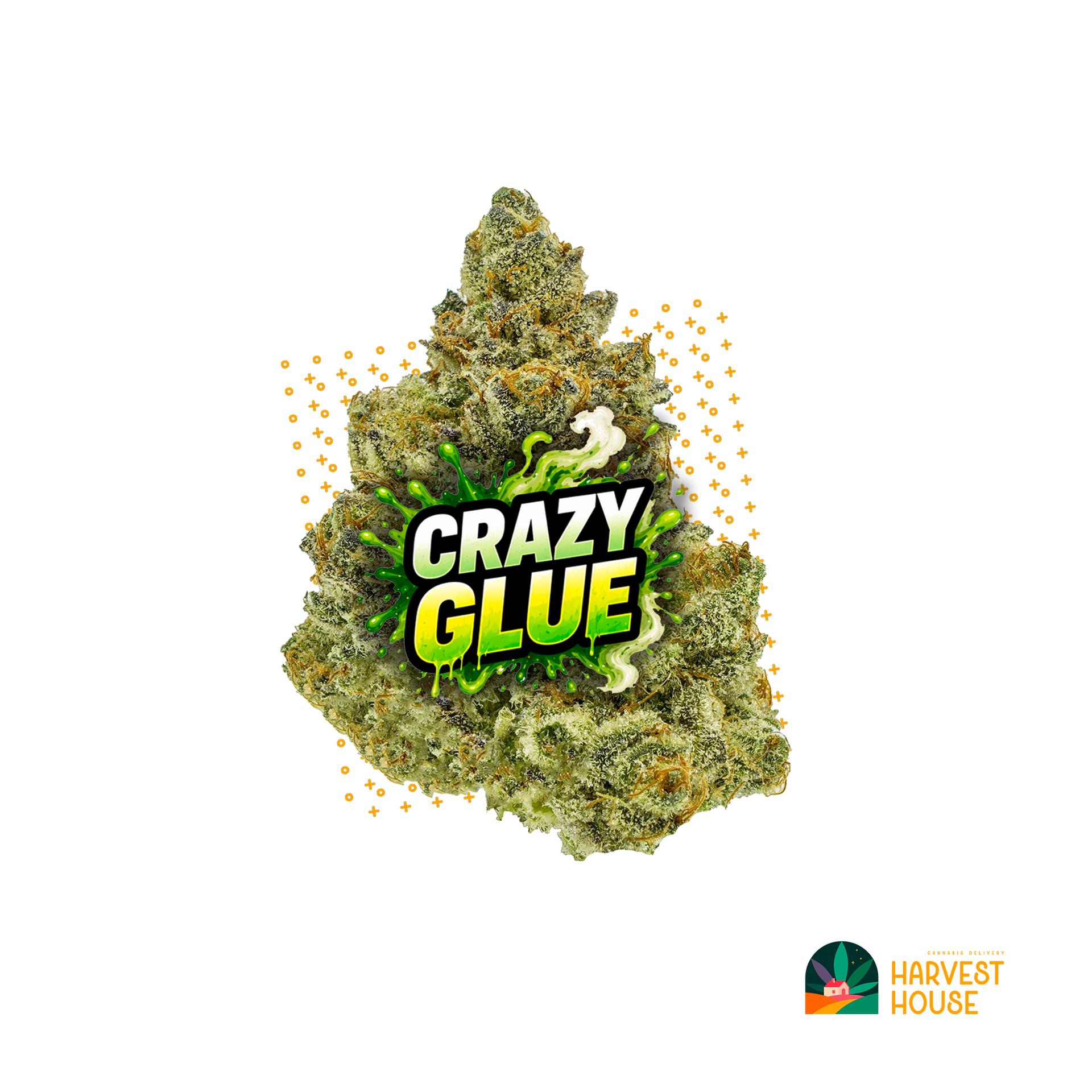 Crazy Glue - Hybrid - 27.45% THC by Animal