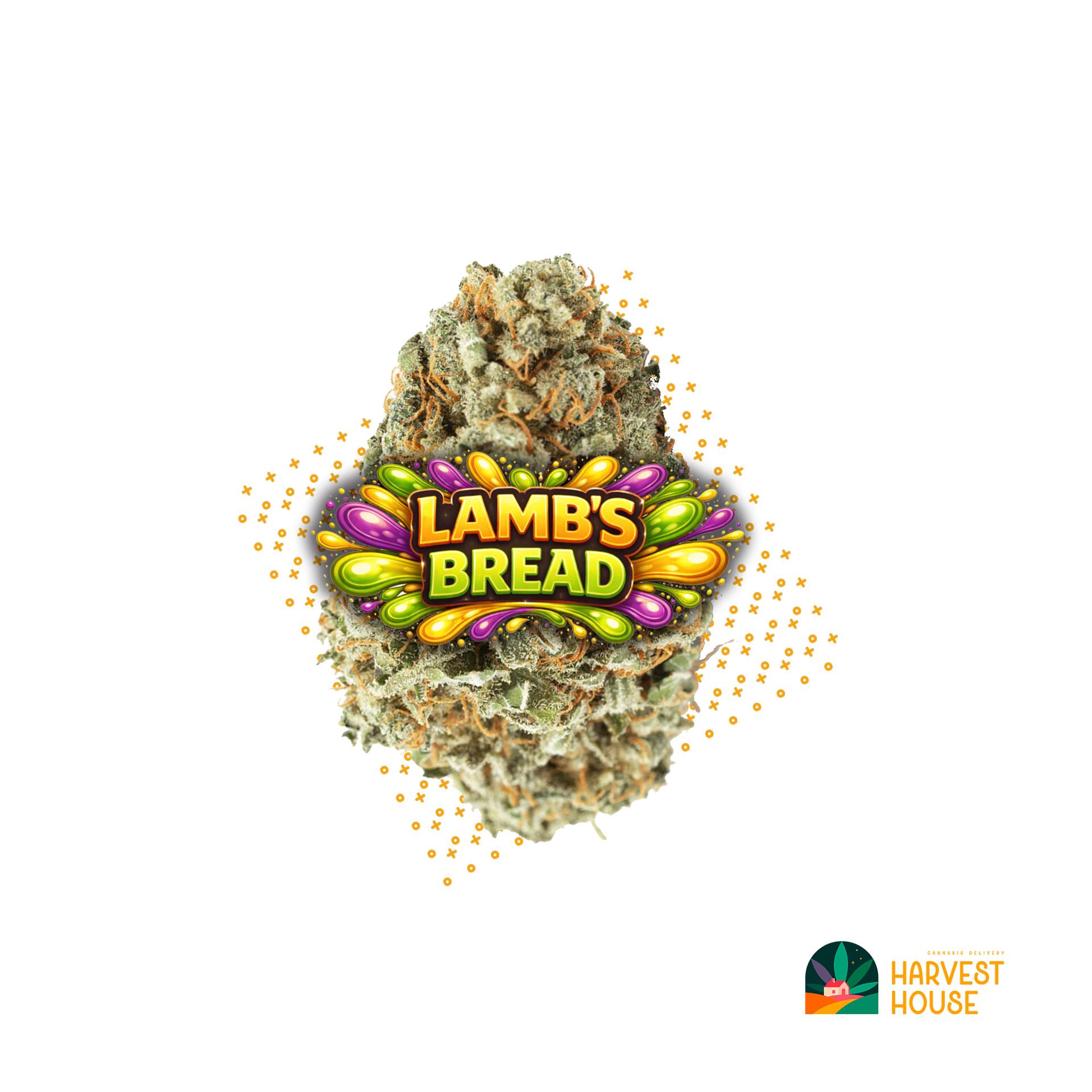 Lamb's Bread - Sativa - 28.97% THC by Animal