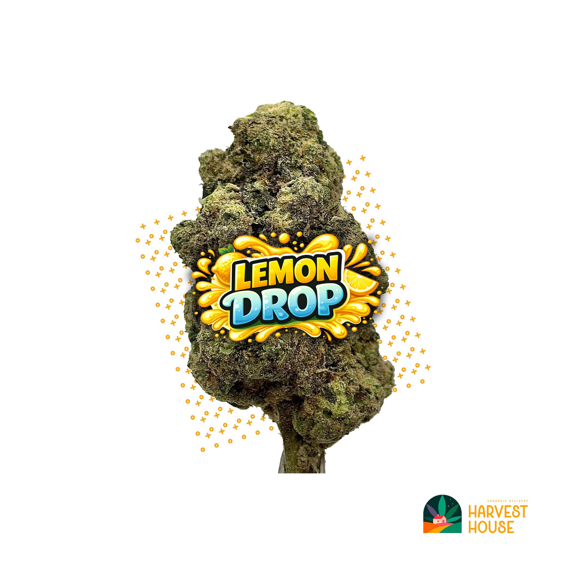 Lemon Drop - Hybrid - 32.45% THC by Animal