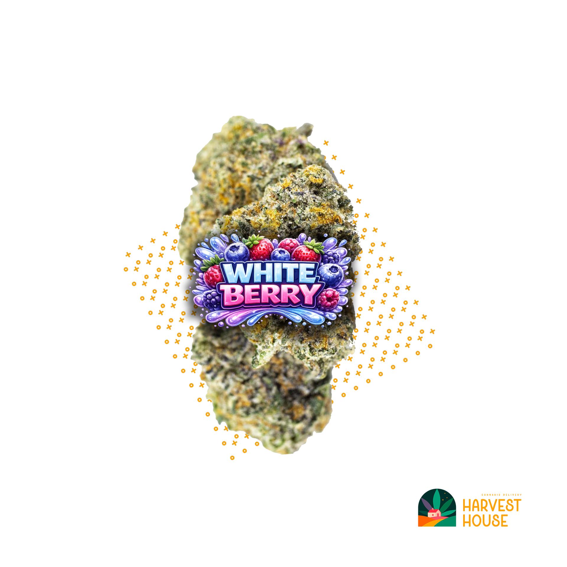 White Berry - Indica - 30.92% THC by Animal
