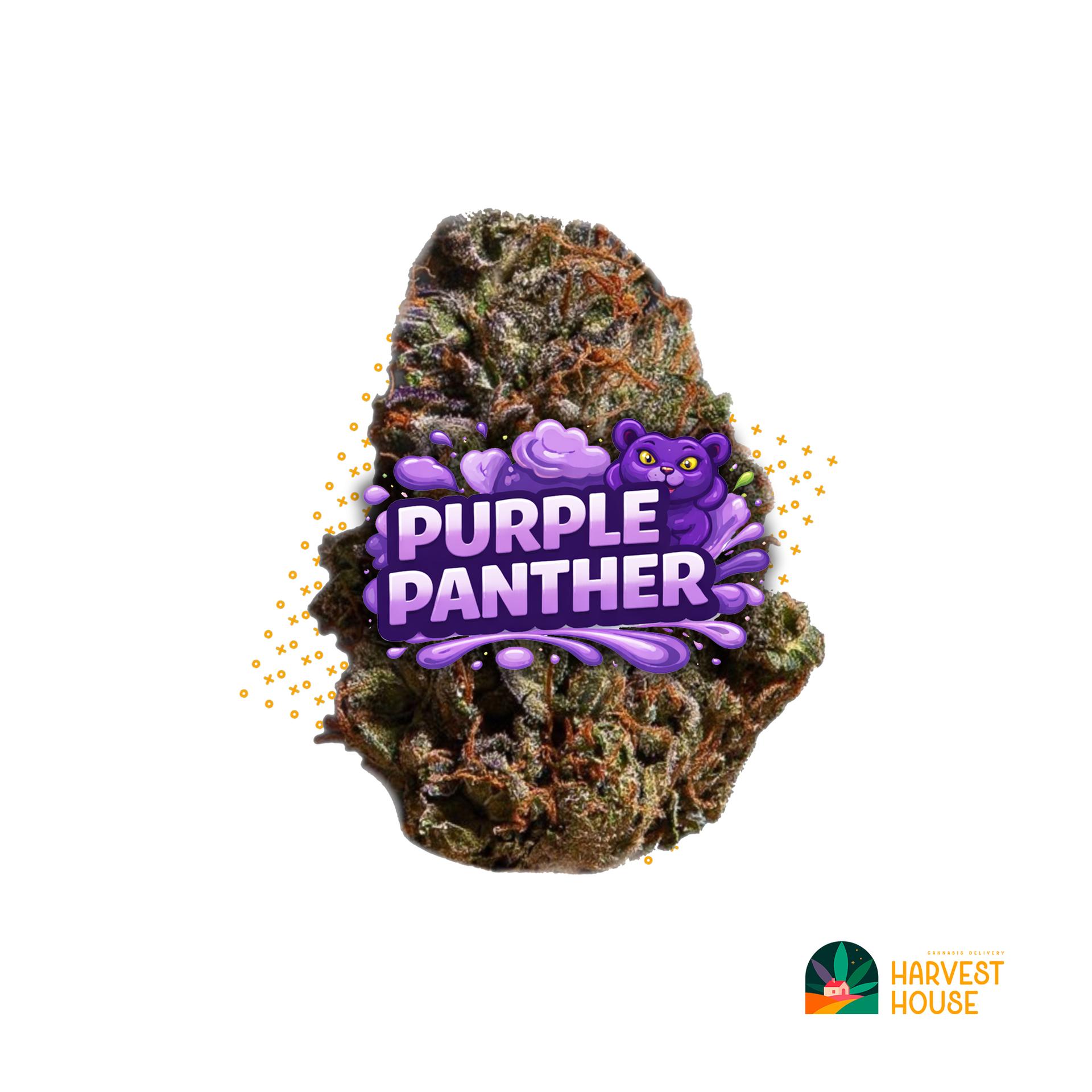 Purple Panther - Sativa - 40% THC by Animal