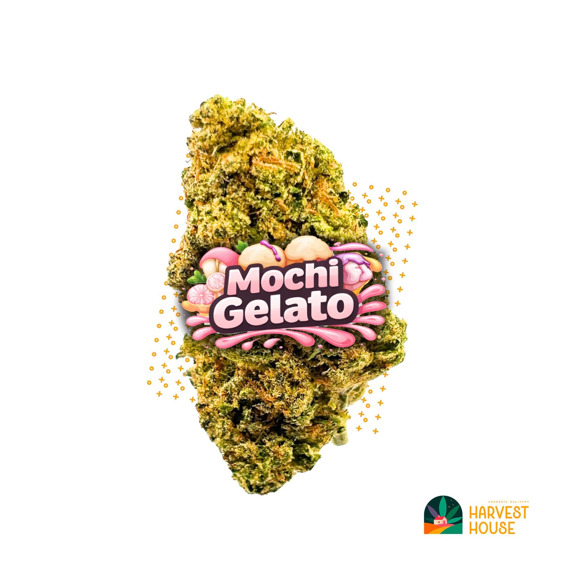 Mochi Gelato - Hybrid - 27.11% THC by Animal