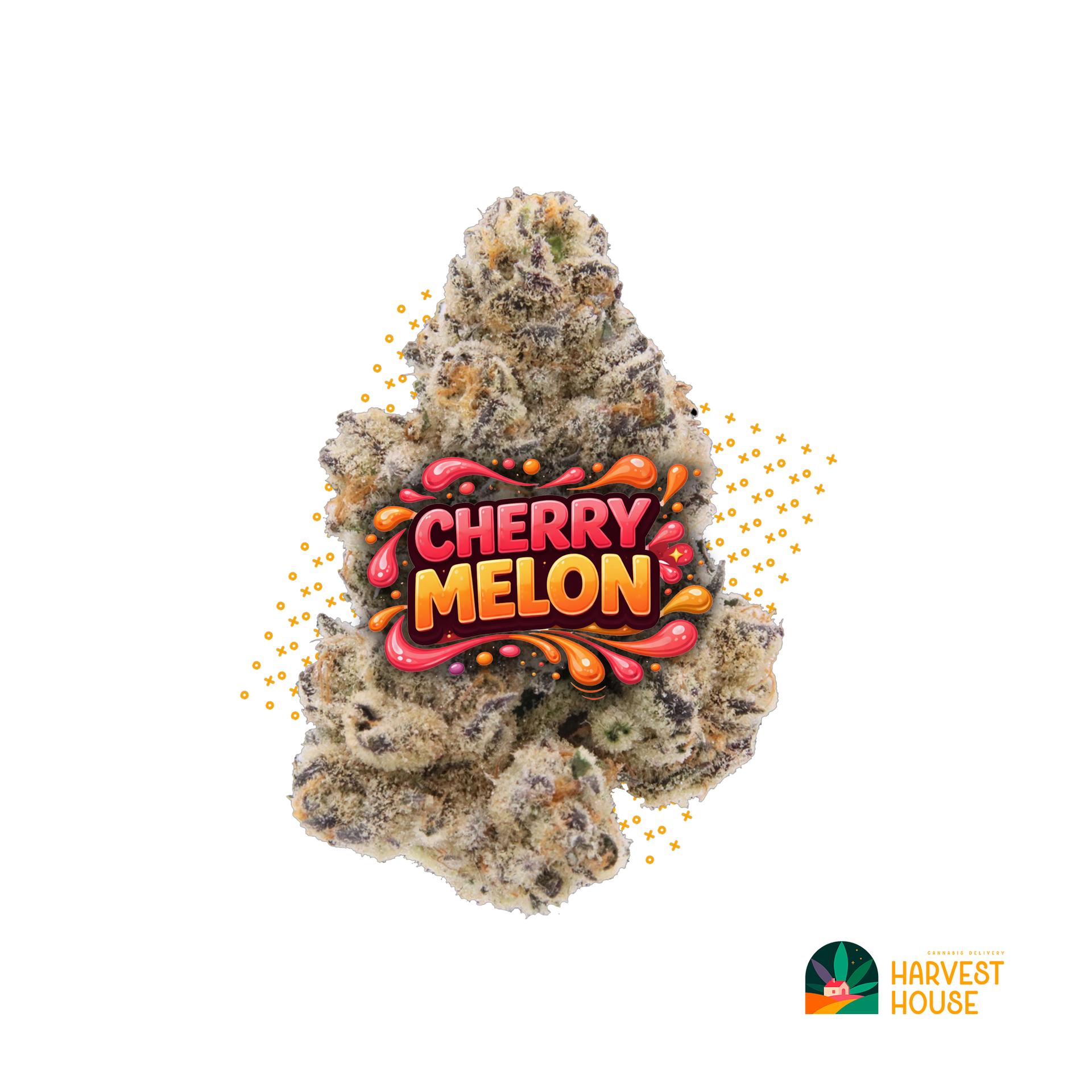 Cherry Melon- Indica - 32.8% THC by Animal