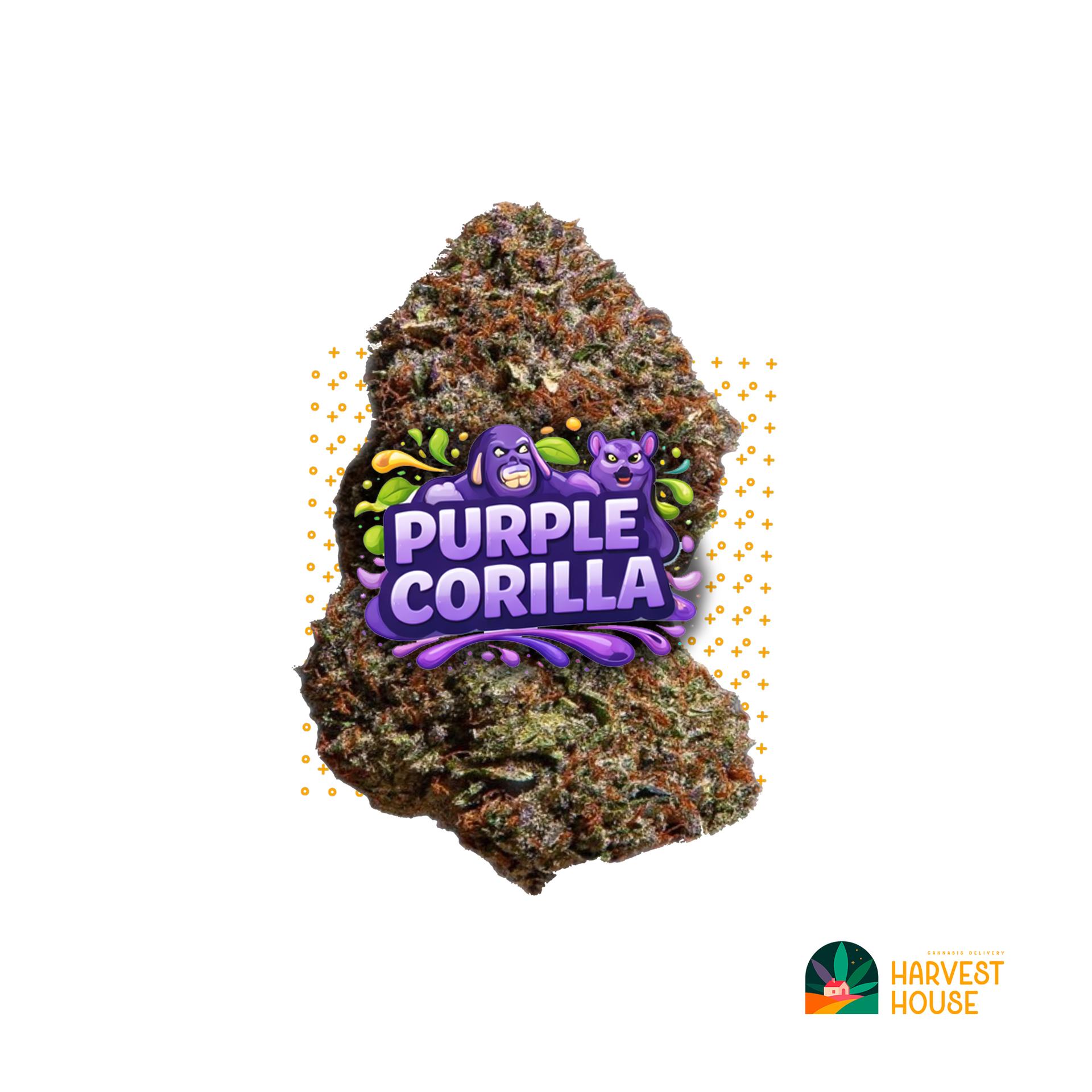 Purple Gorilla - Hybrid - 37% THC by Animal