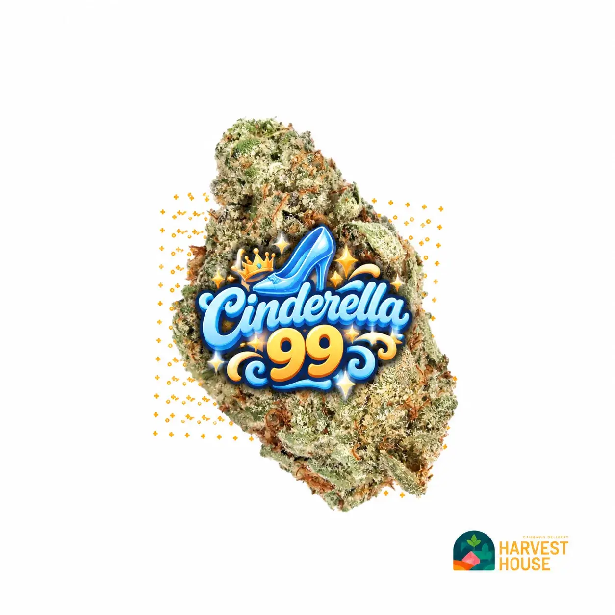 Cinderella 99 - Sativa - 30.77% THC by Harvest House