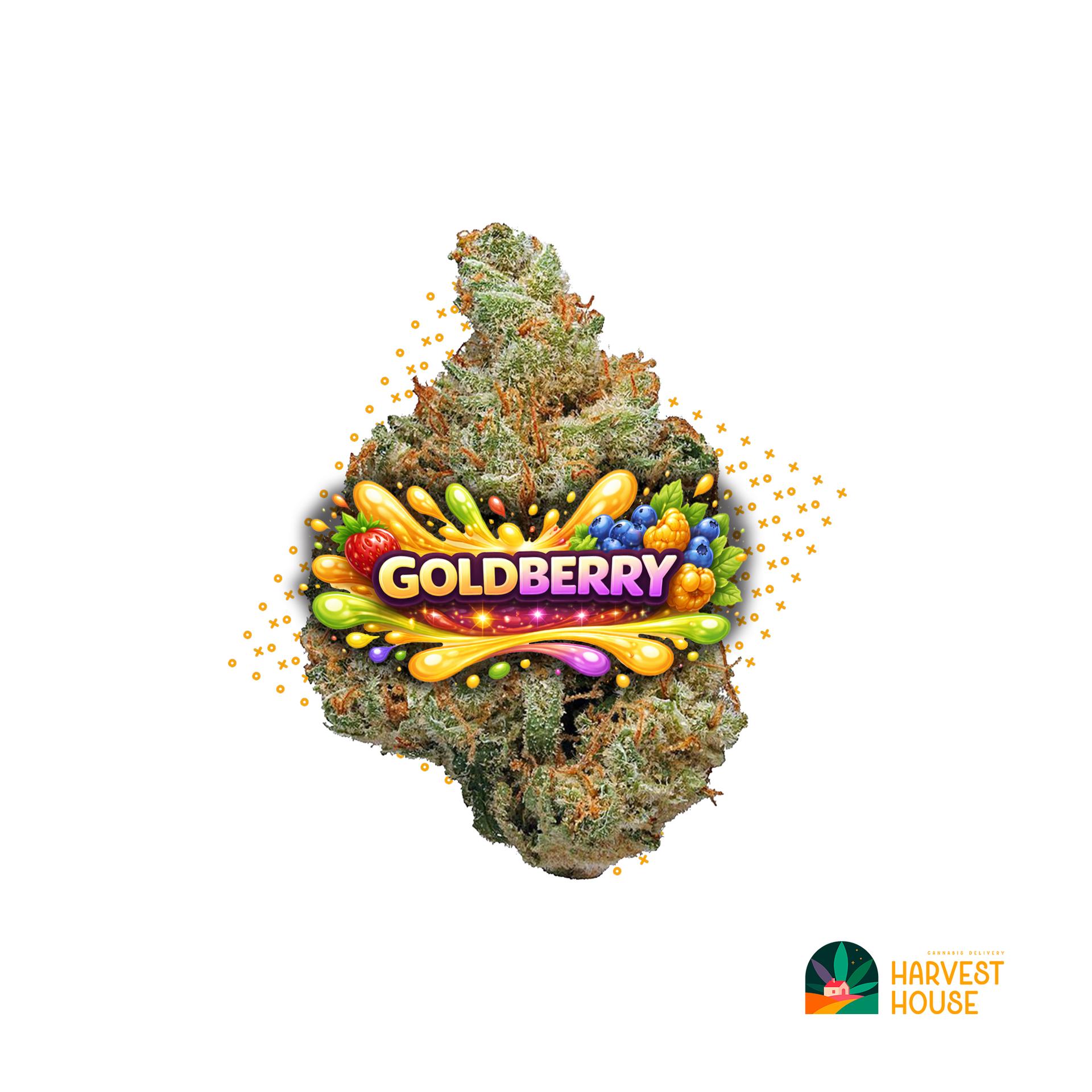 Goldberry - Indica - 30.96% THC by Animal